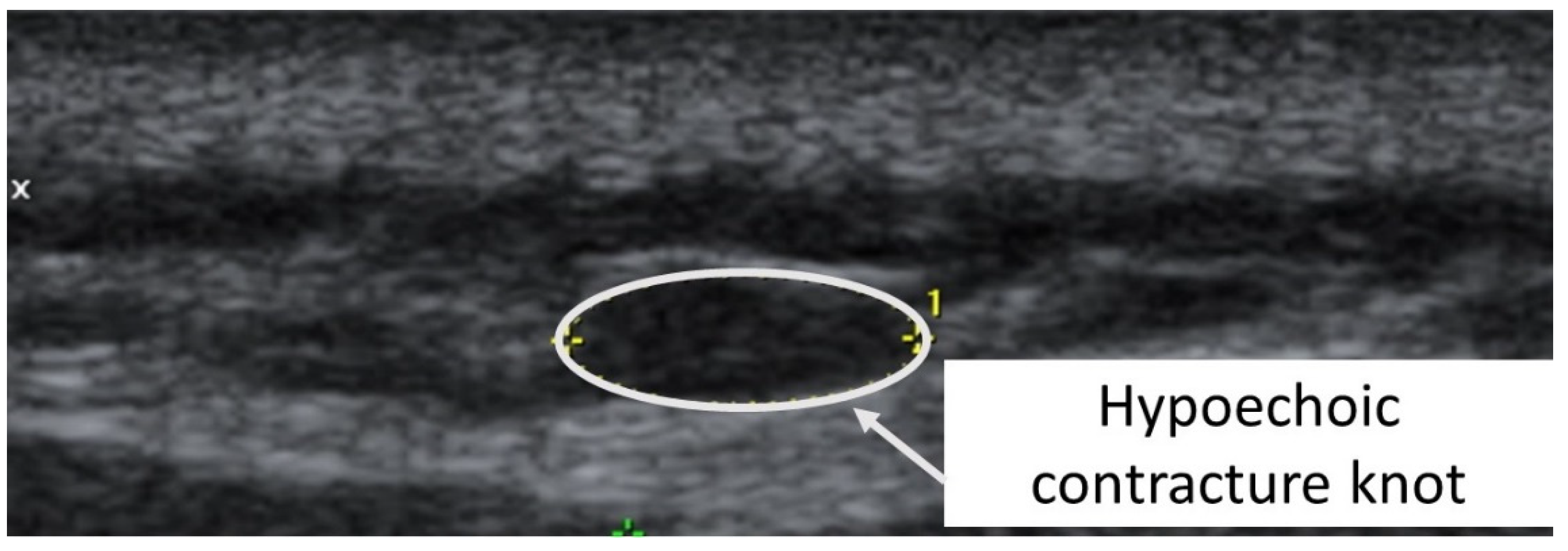 Diagnostics 12 00321 g005