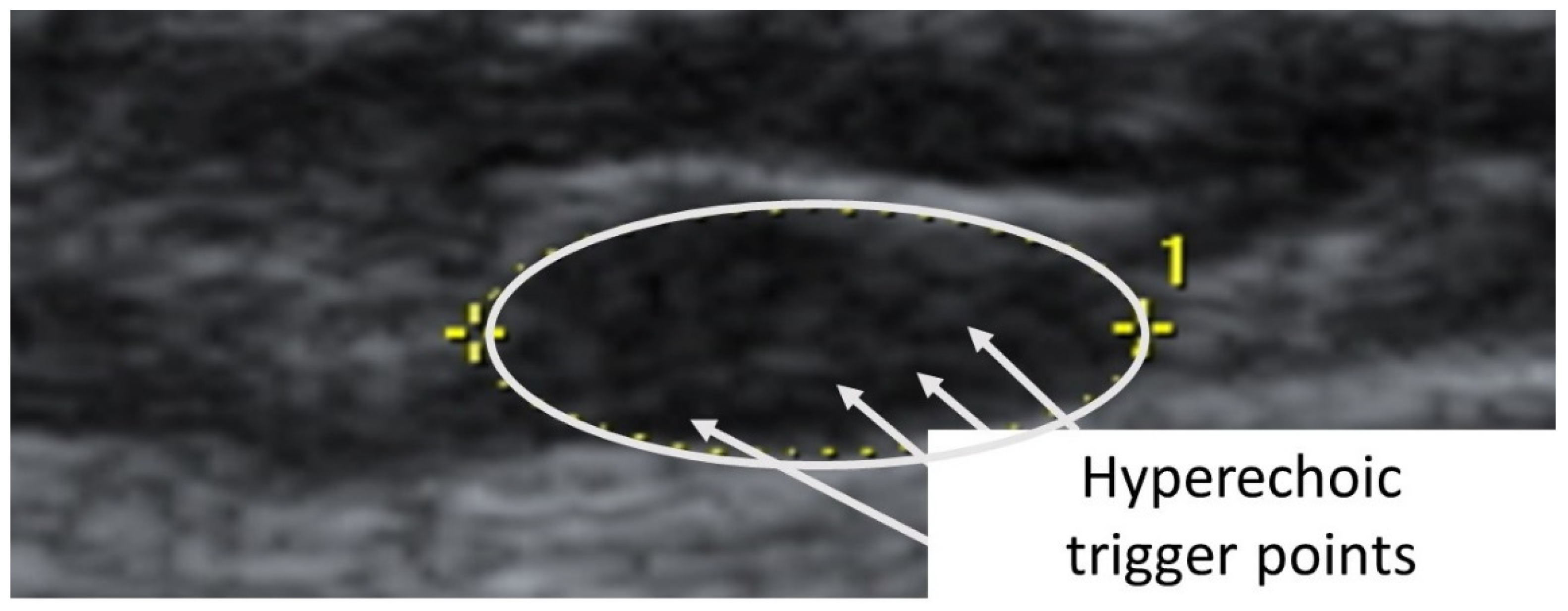 Diagnostics 12 00321 g006
