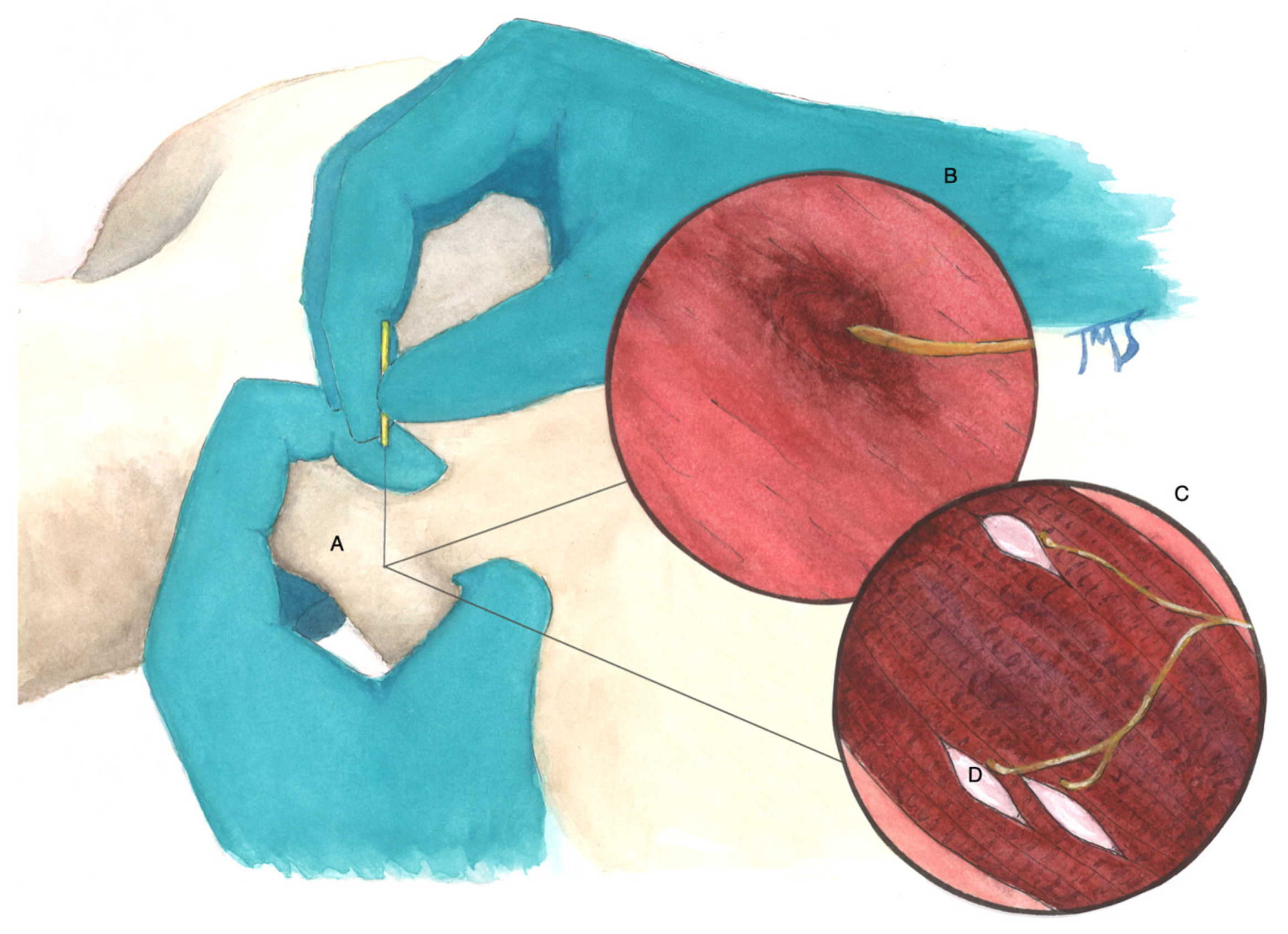 Diagnostics 12 00321 g007