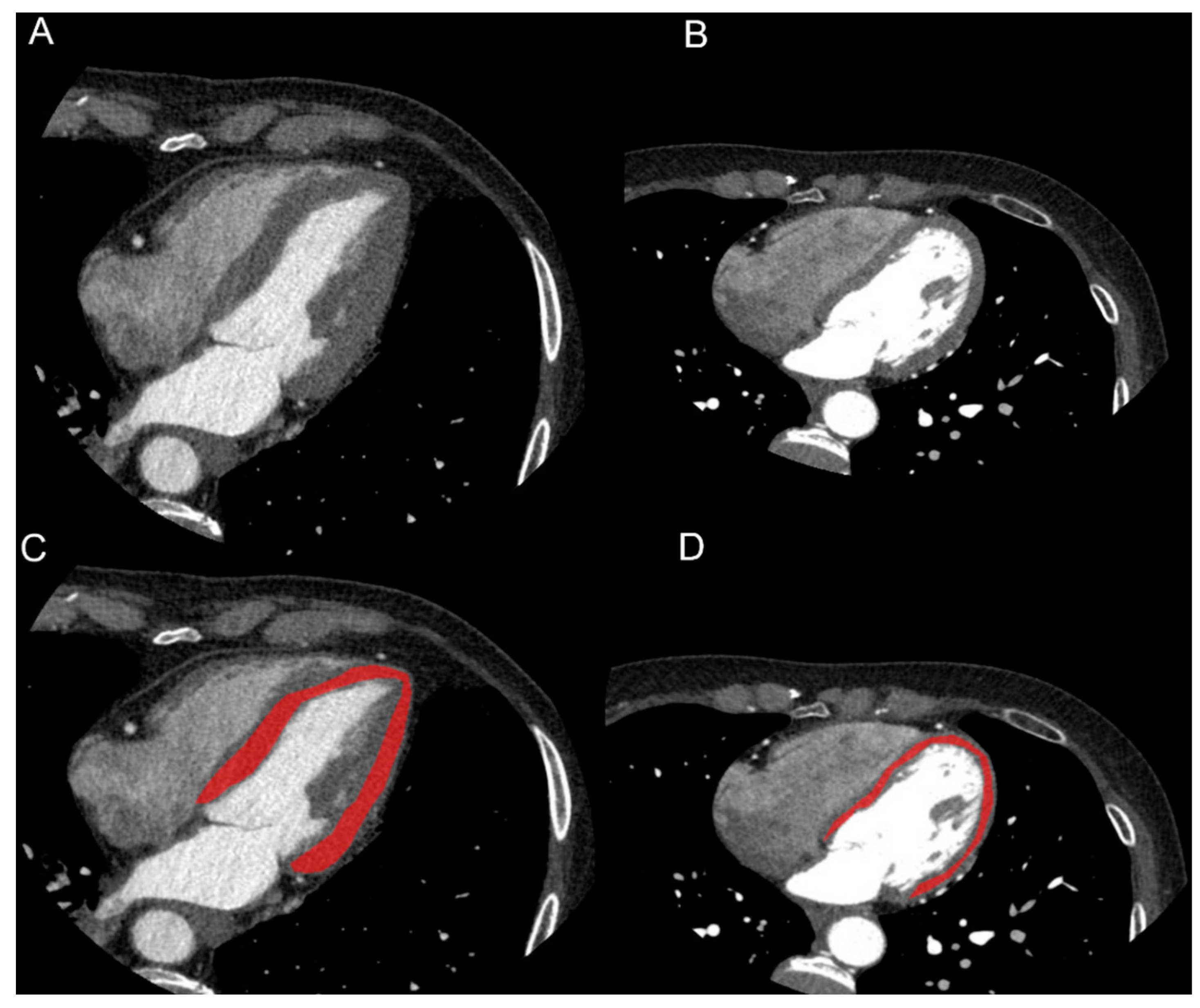 Diagnostics 12 00322 g001