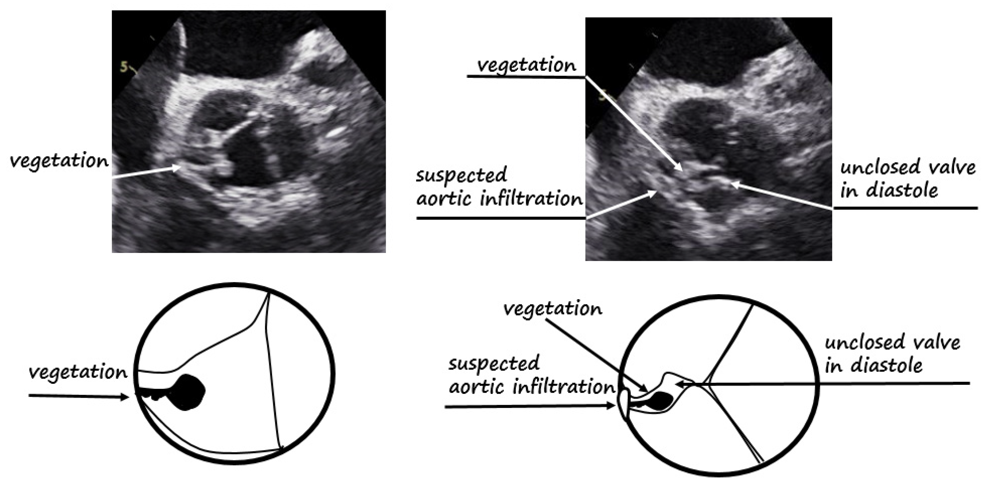 Diagnostics 12 00327 g001