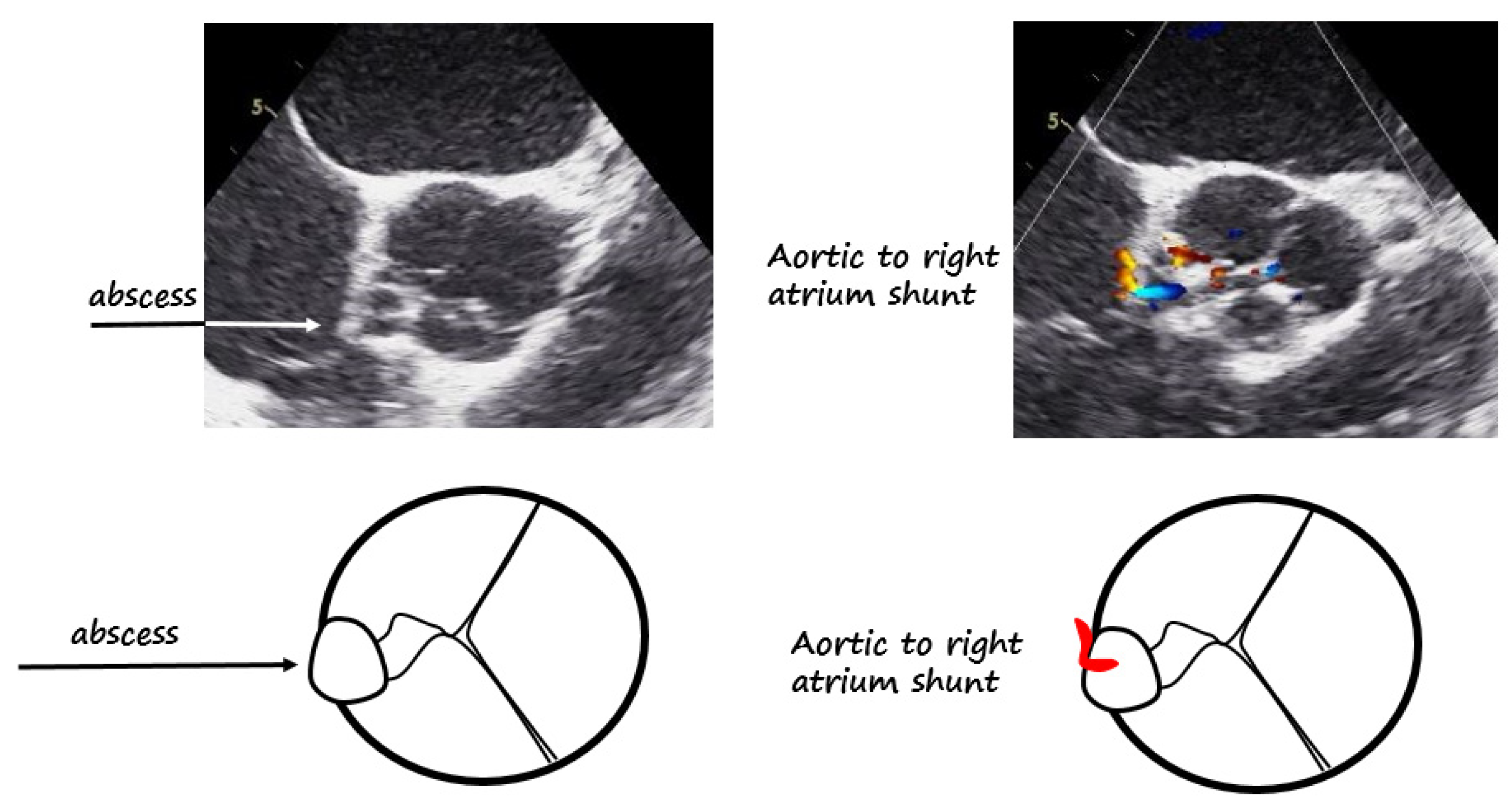 Diagnostics 12 00327 g002