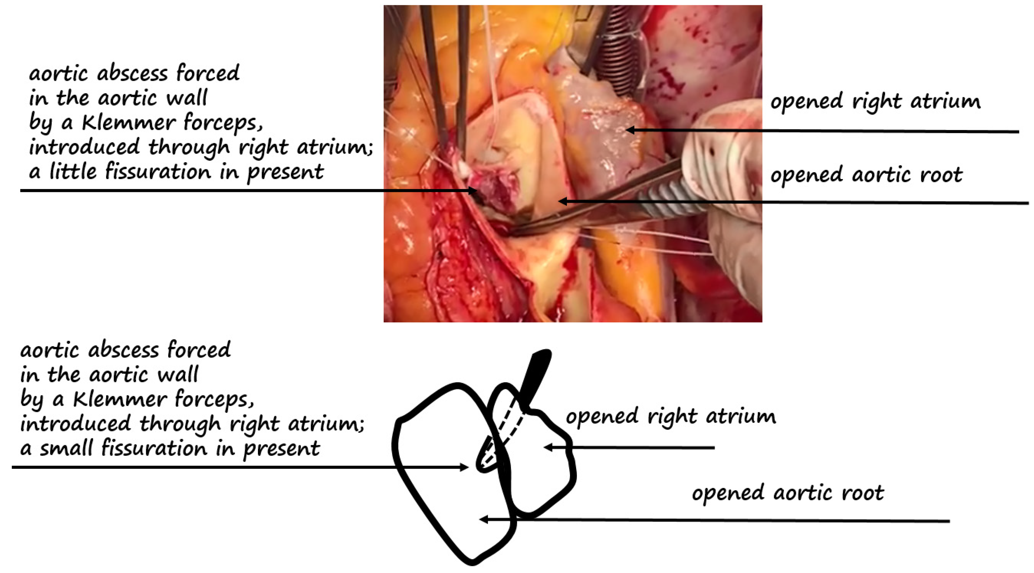 Diagnostics 12 00327 g003