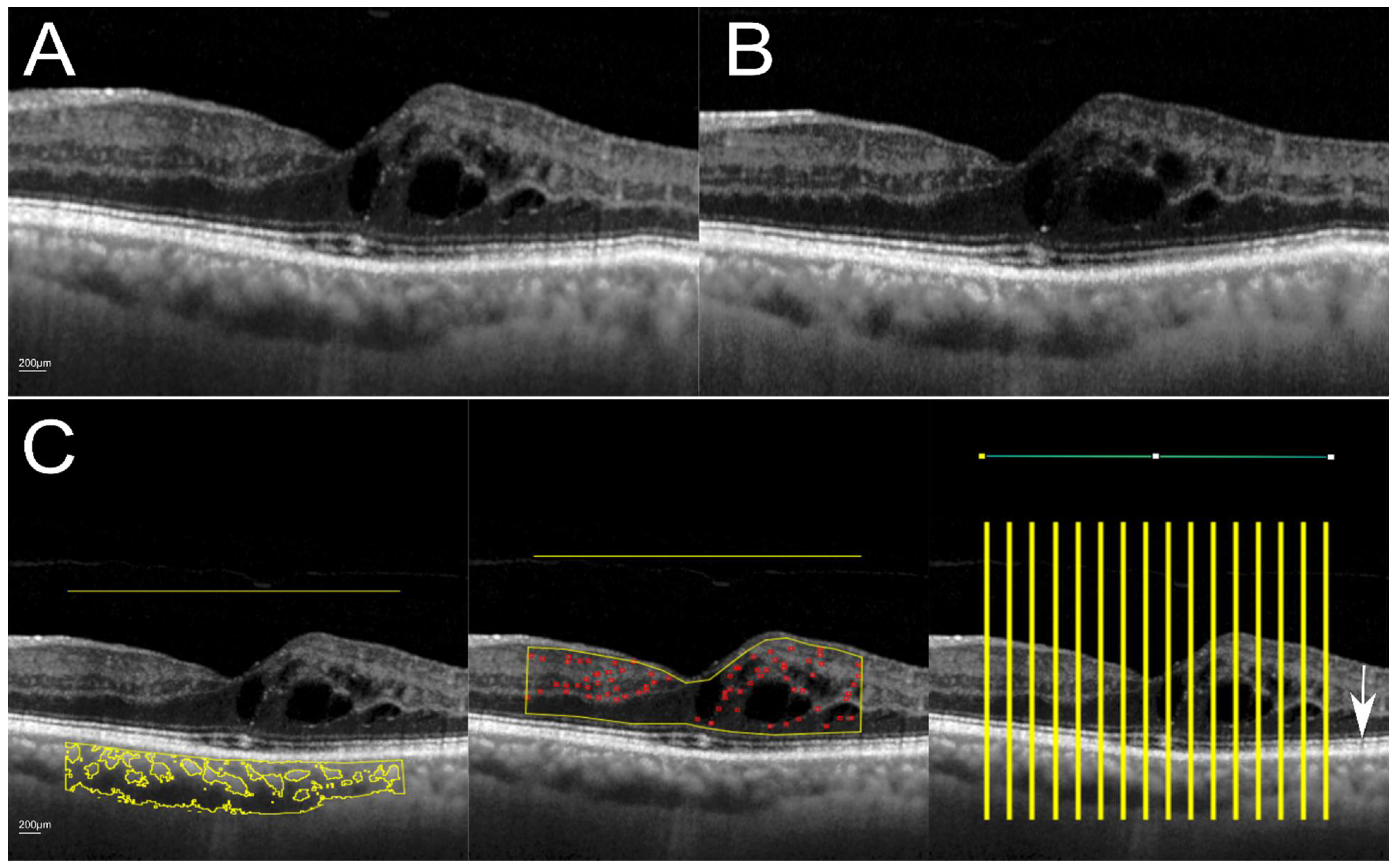 Diagnostics 12 00333 g001