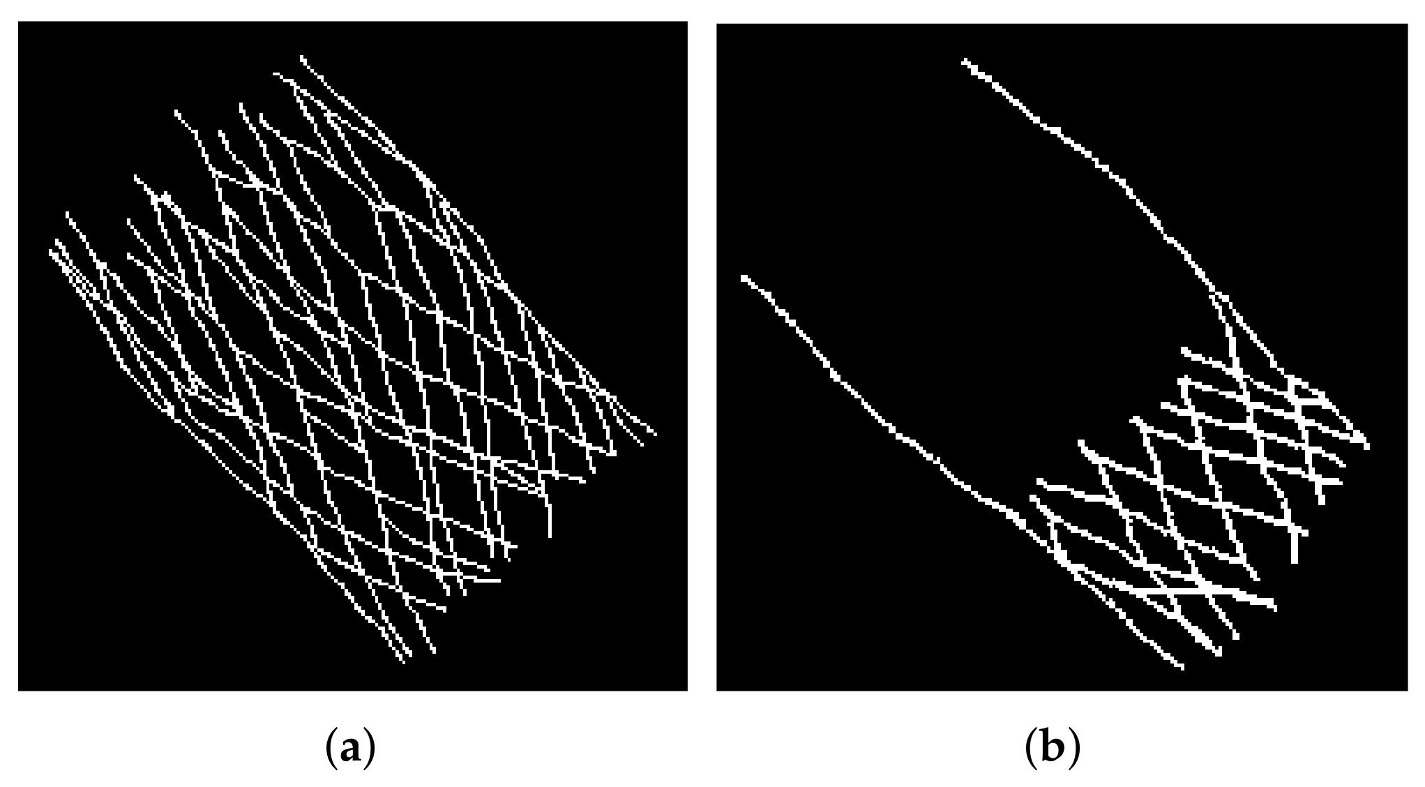 Diagnostics 12 00334 g003