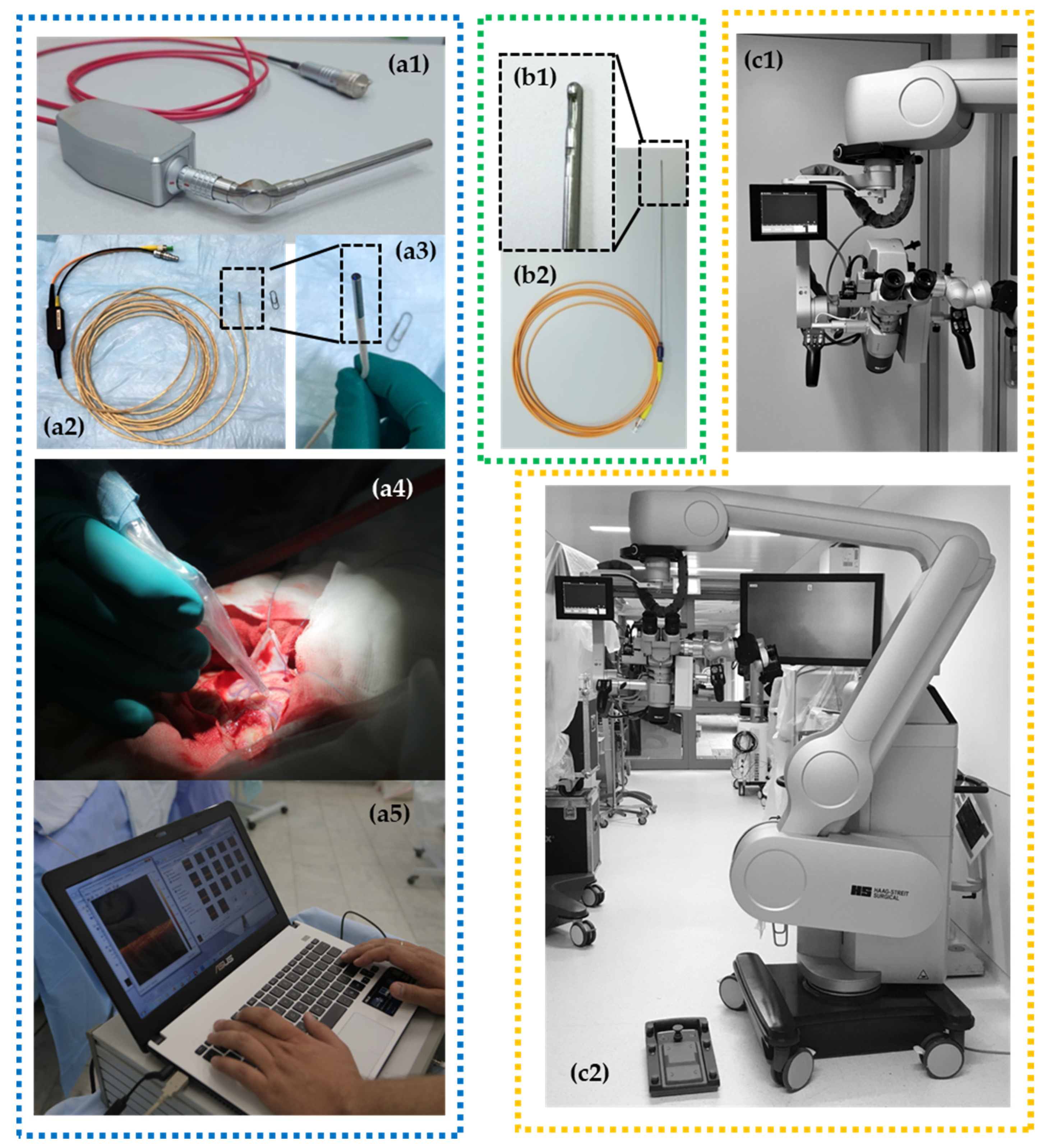 Diagnostics 12 00335 g001