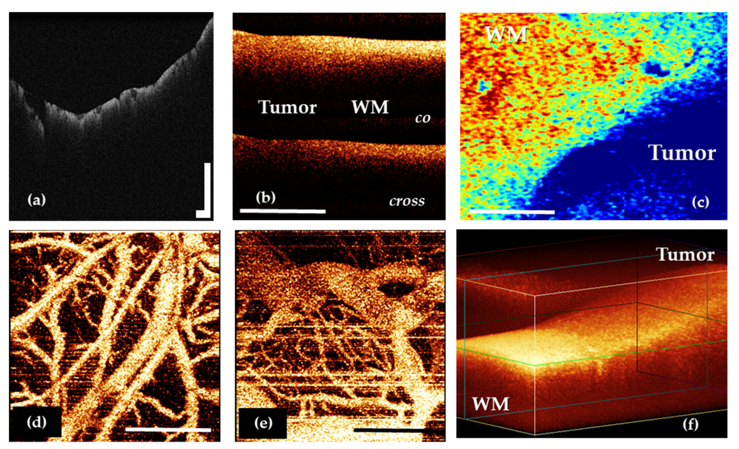 Diagnostics 12 00335 g002