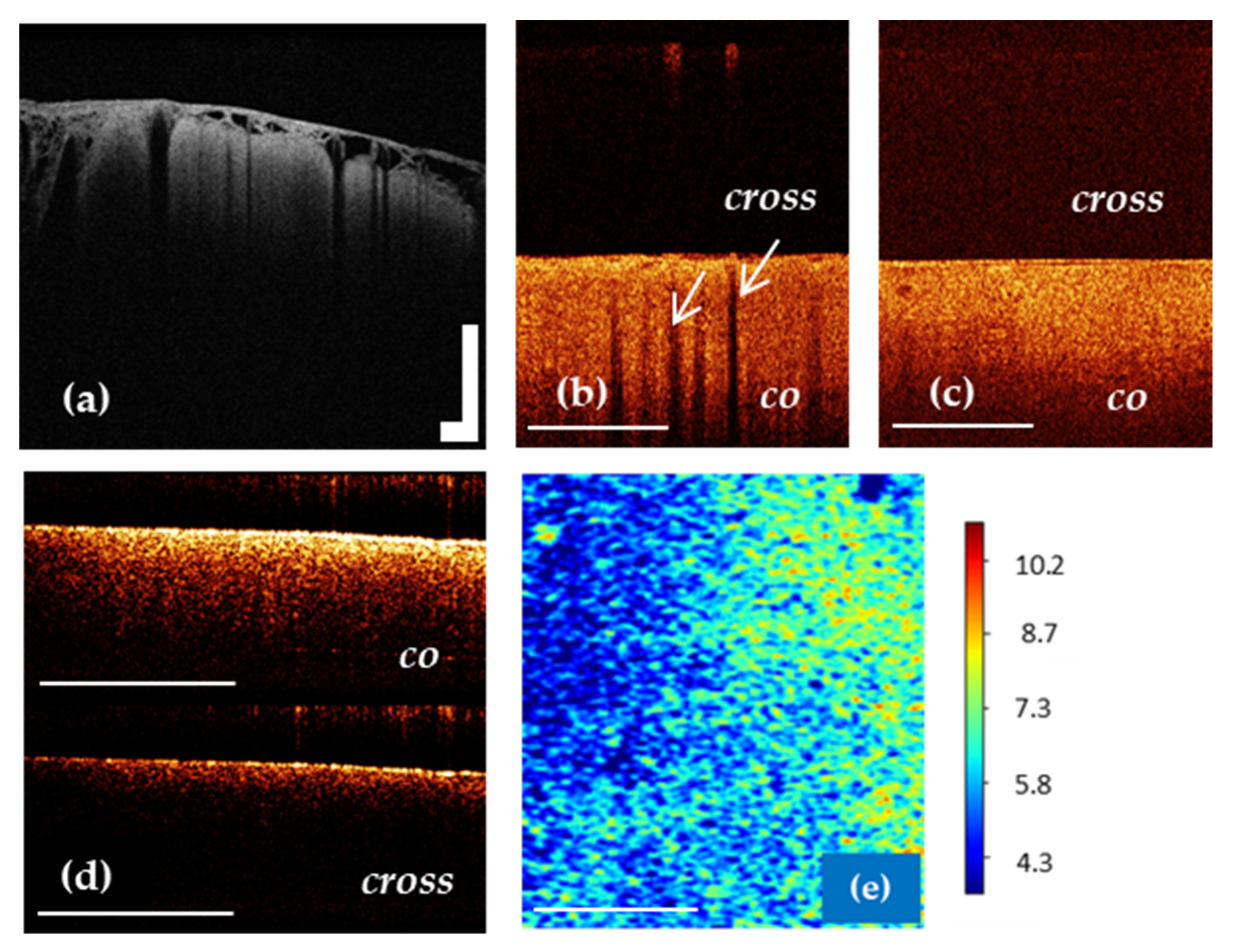 Diagnostics 12 00335 g004