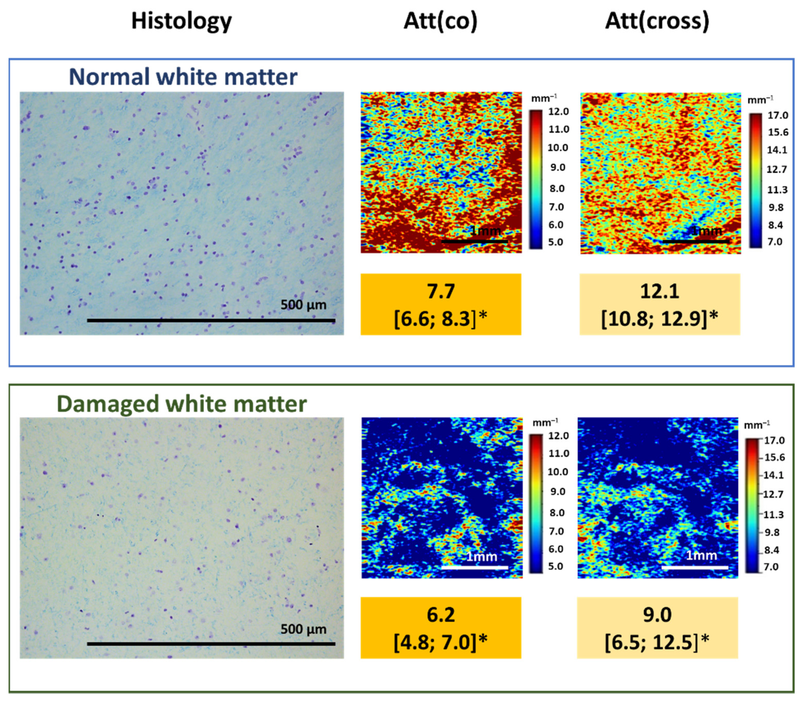 Diagnostics 12 00335 g005
