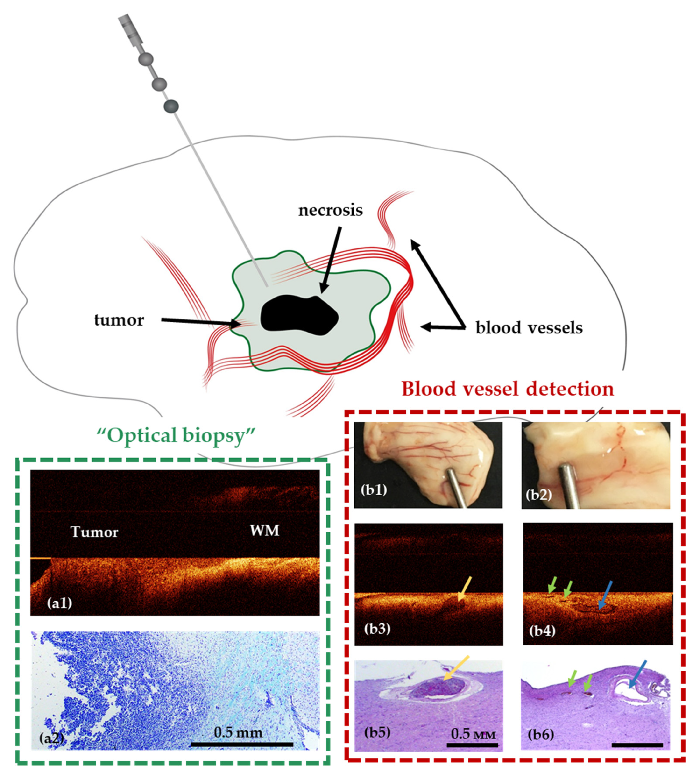 Diagnostics 12 00335 g006