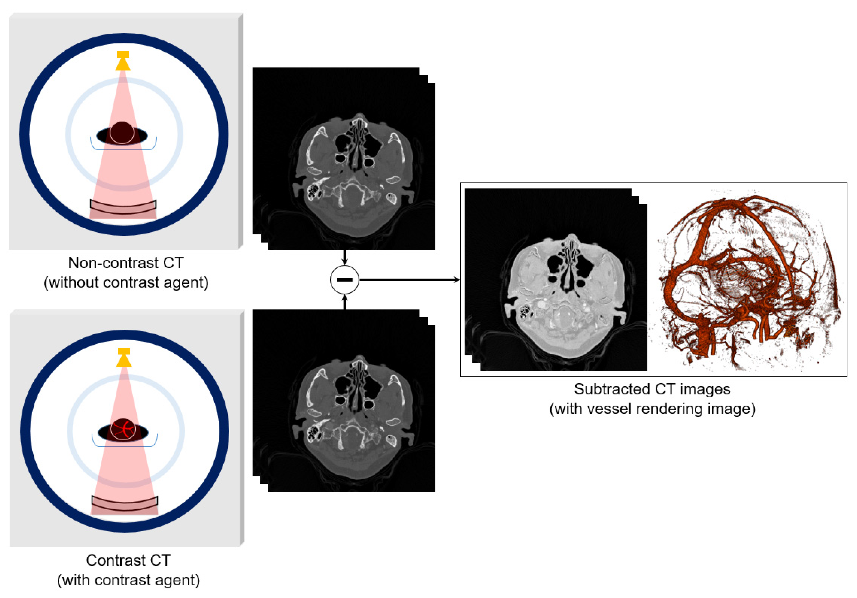 Diagnostics 12 00338 g001