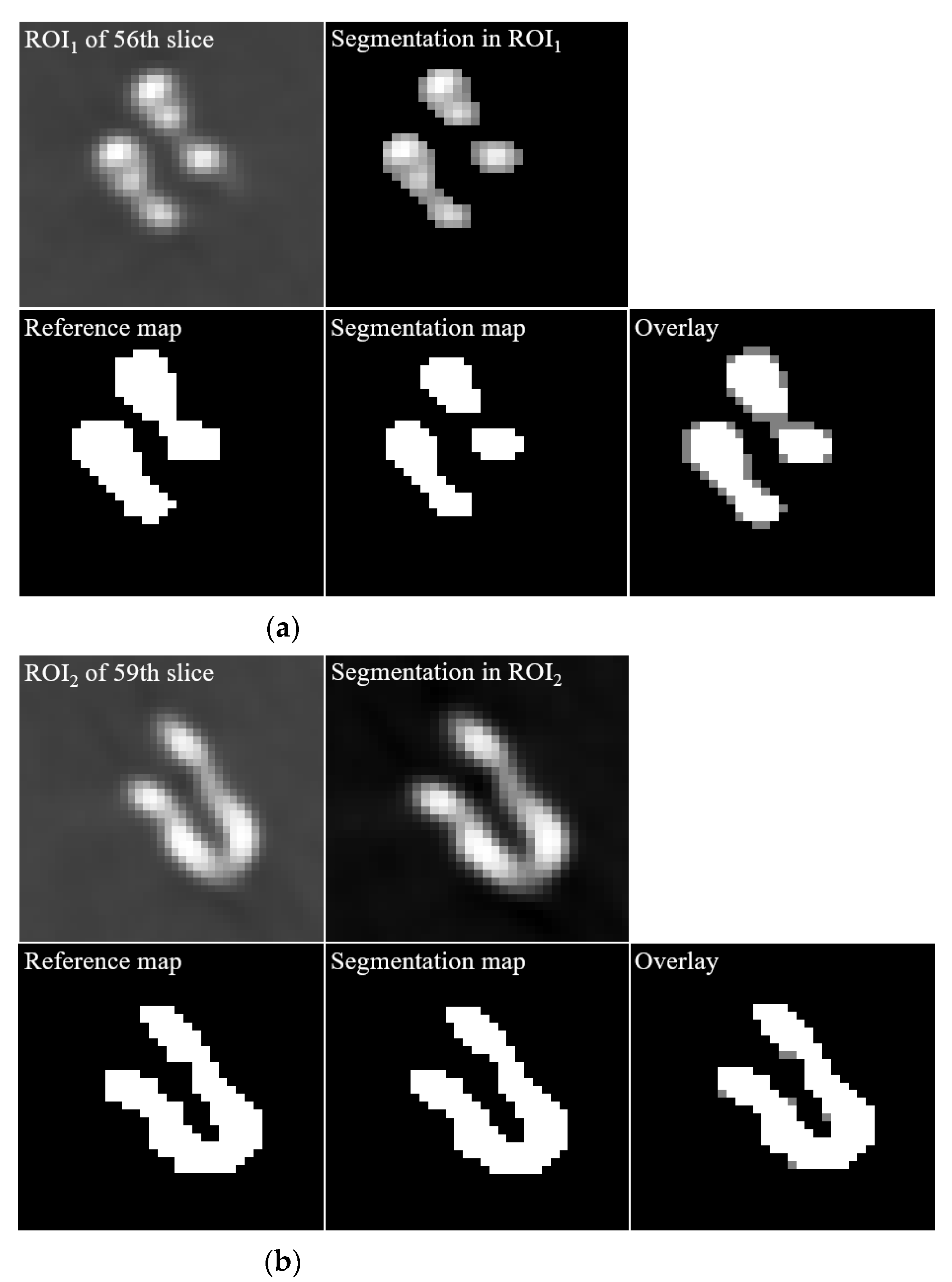 Diagnostics 12 00338 g005