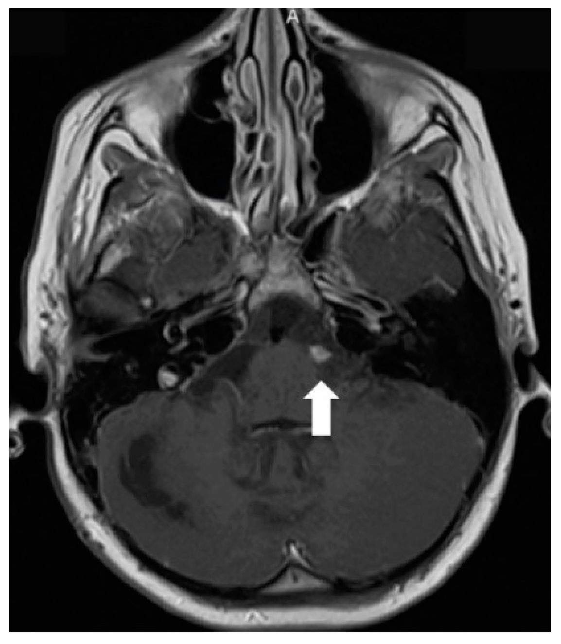 Diagnostics 12 00342 g002