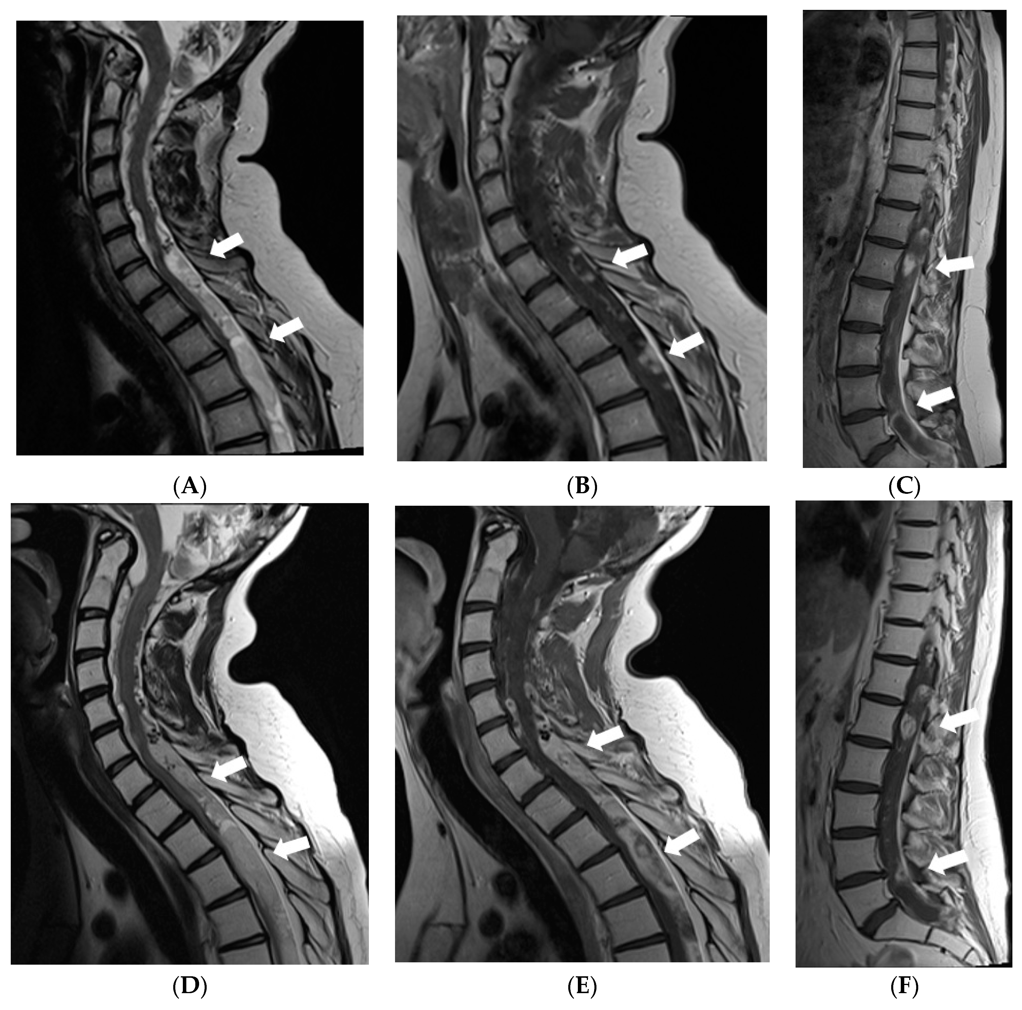 Diagnostics 12 00342 g005