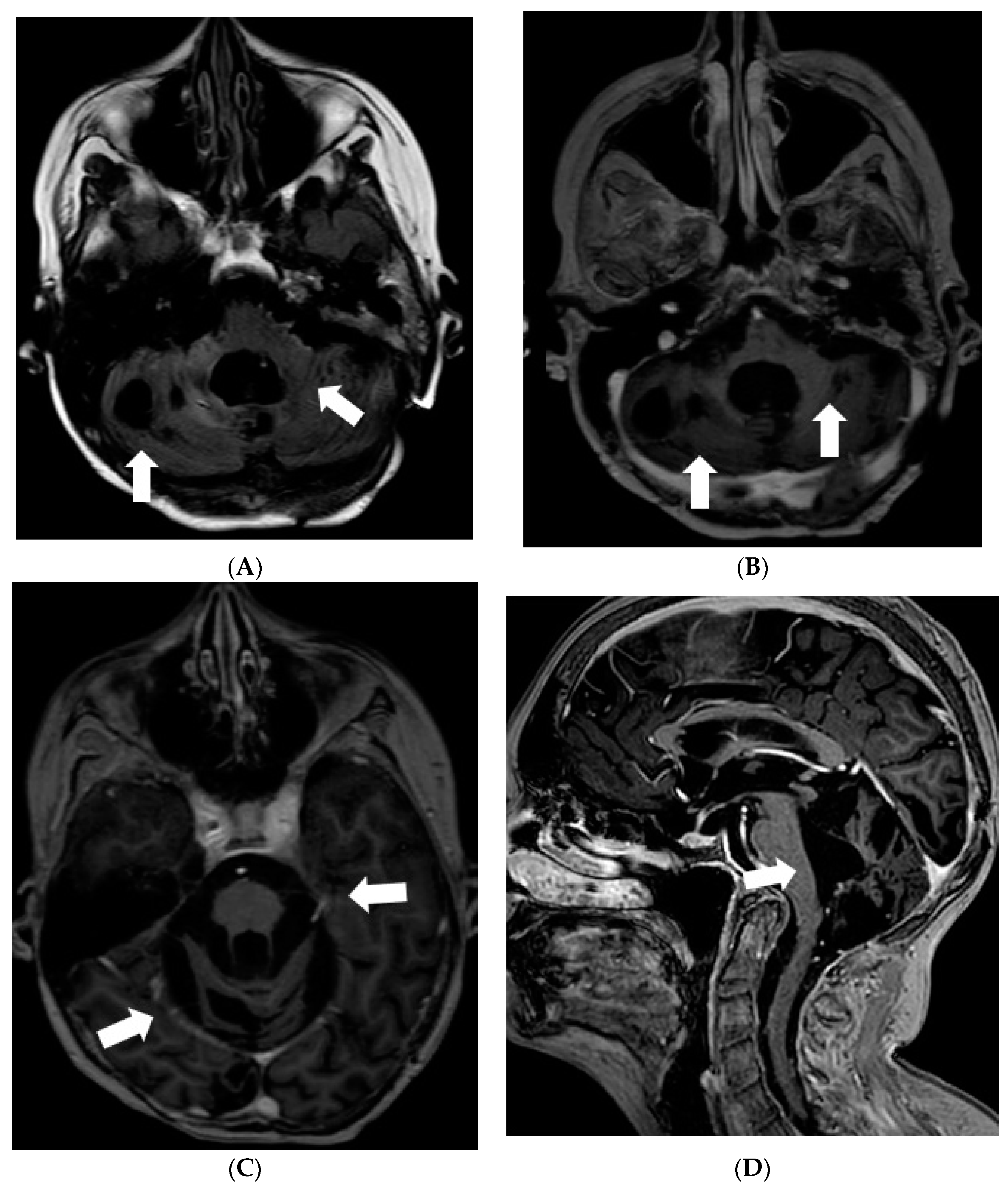 Diagnostics 12 00342 g006a