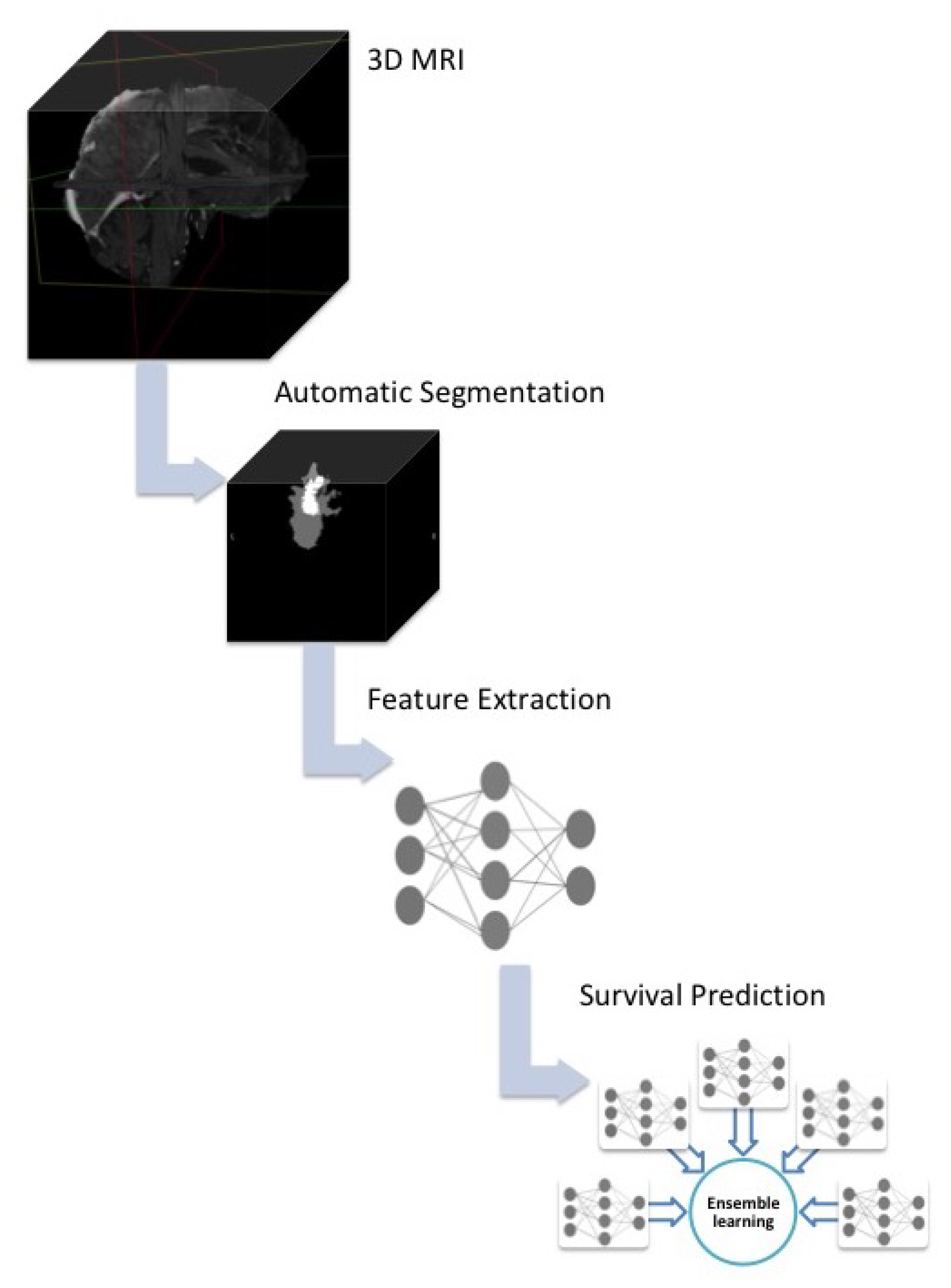 Diagnostics 12 00345 g004