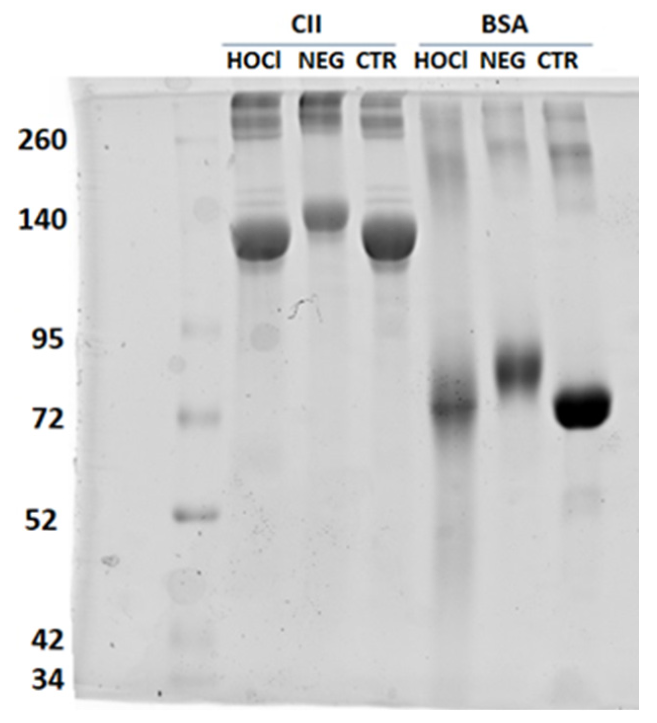 Diagnostics 12 00352 g0a1