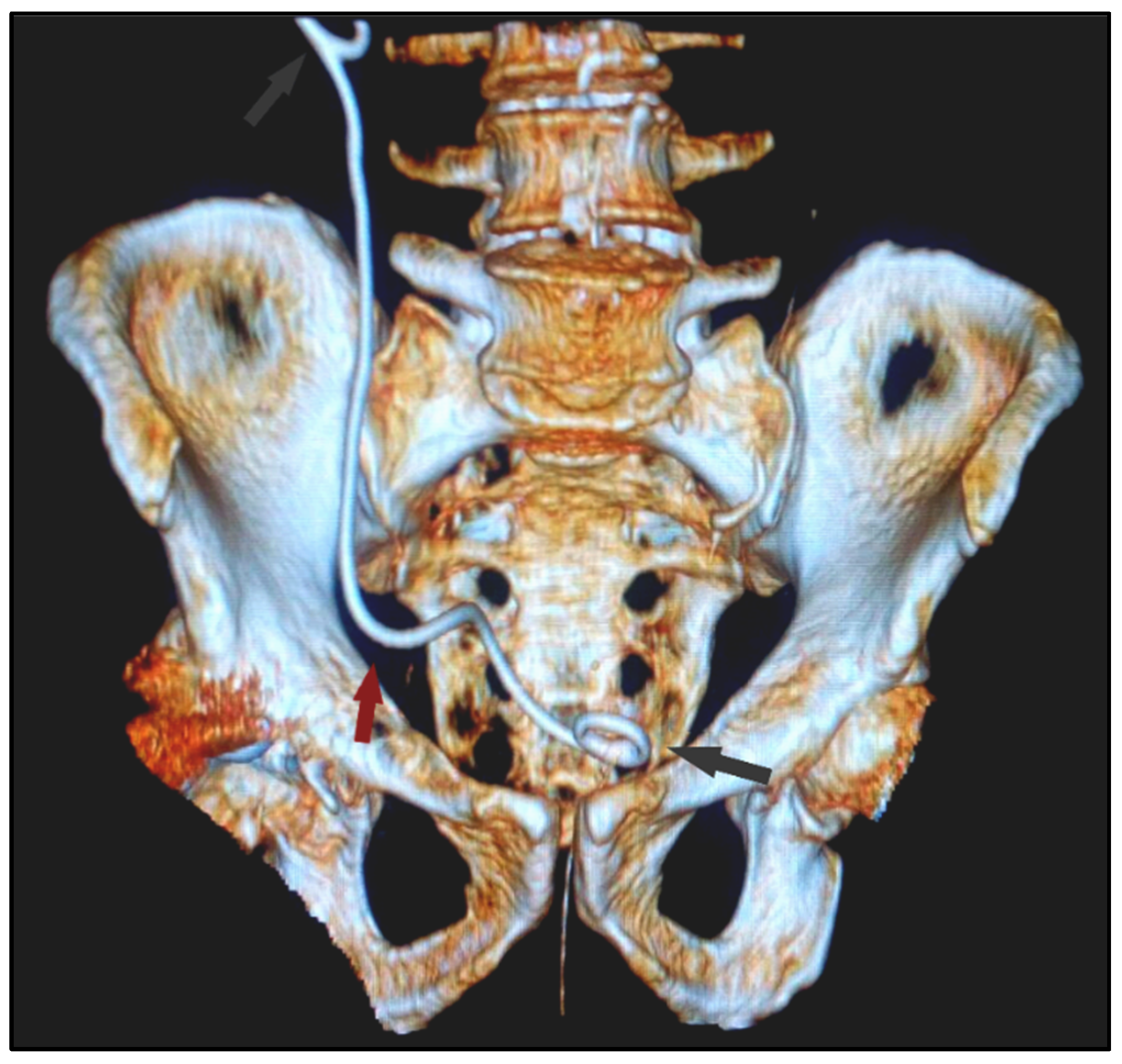 Diagnostics 12 00353 g001