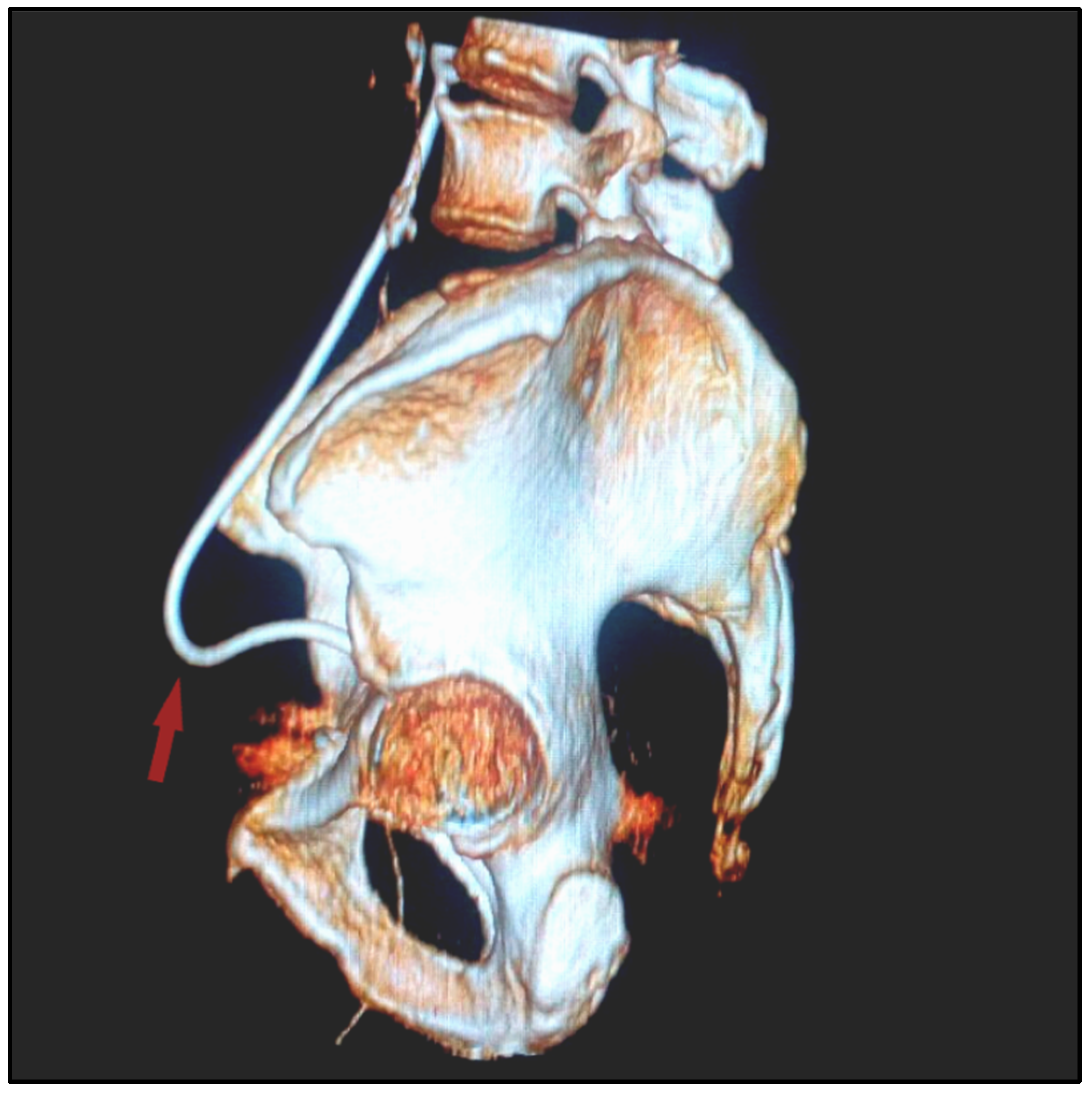 Diagnostics 12 00353 g002