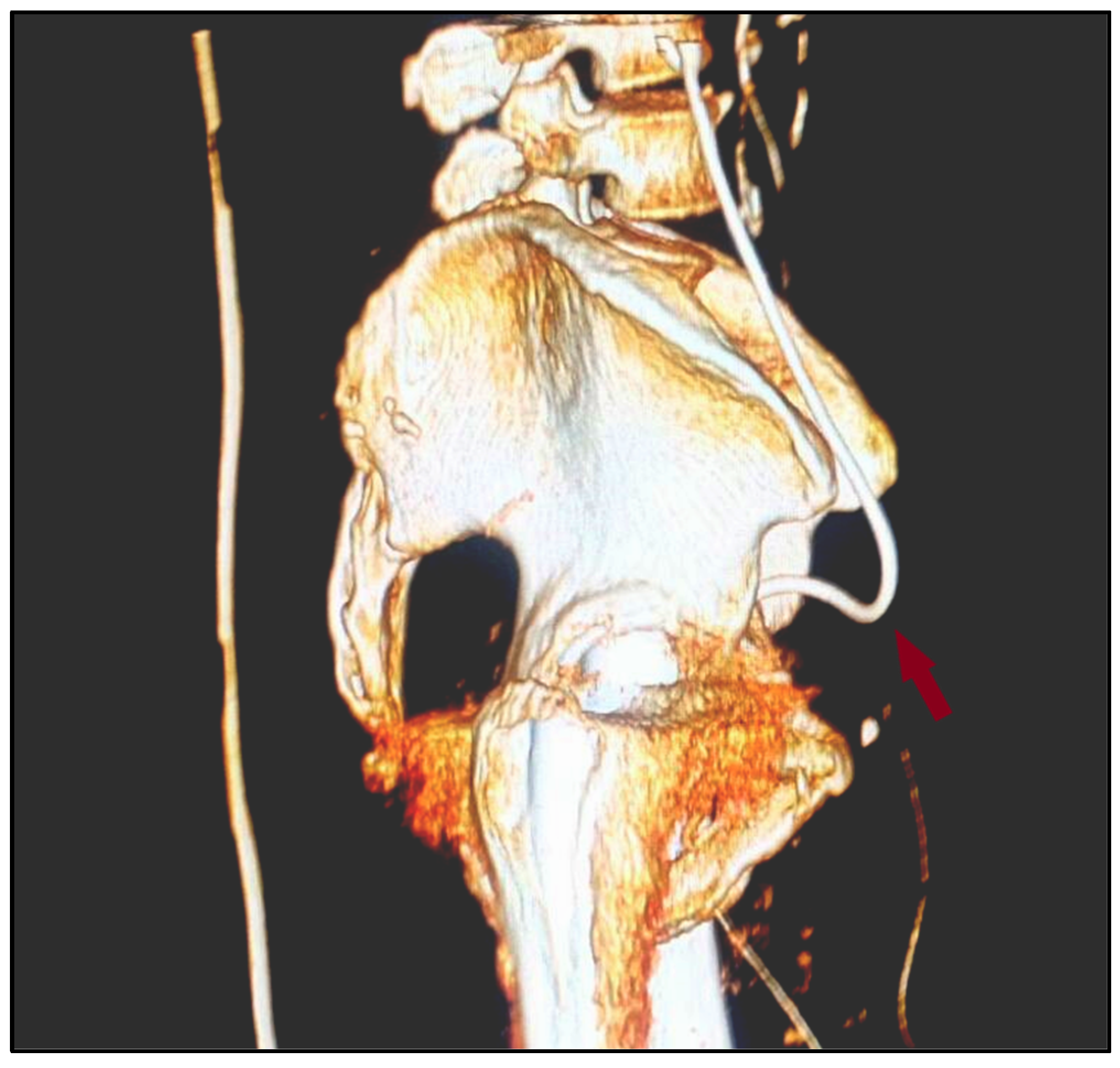 Diagnostics 12 00353 g003