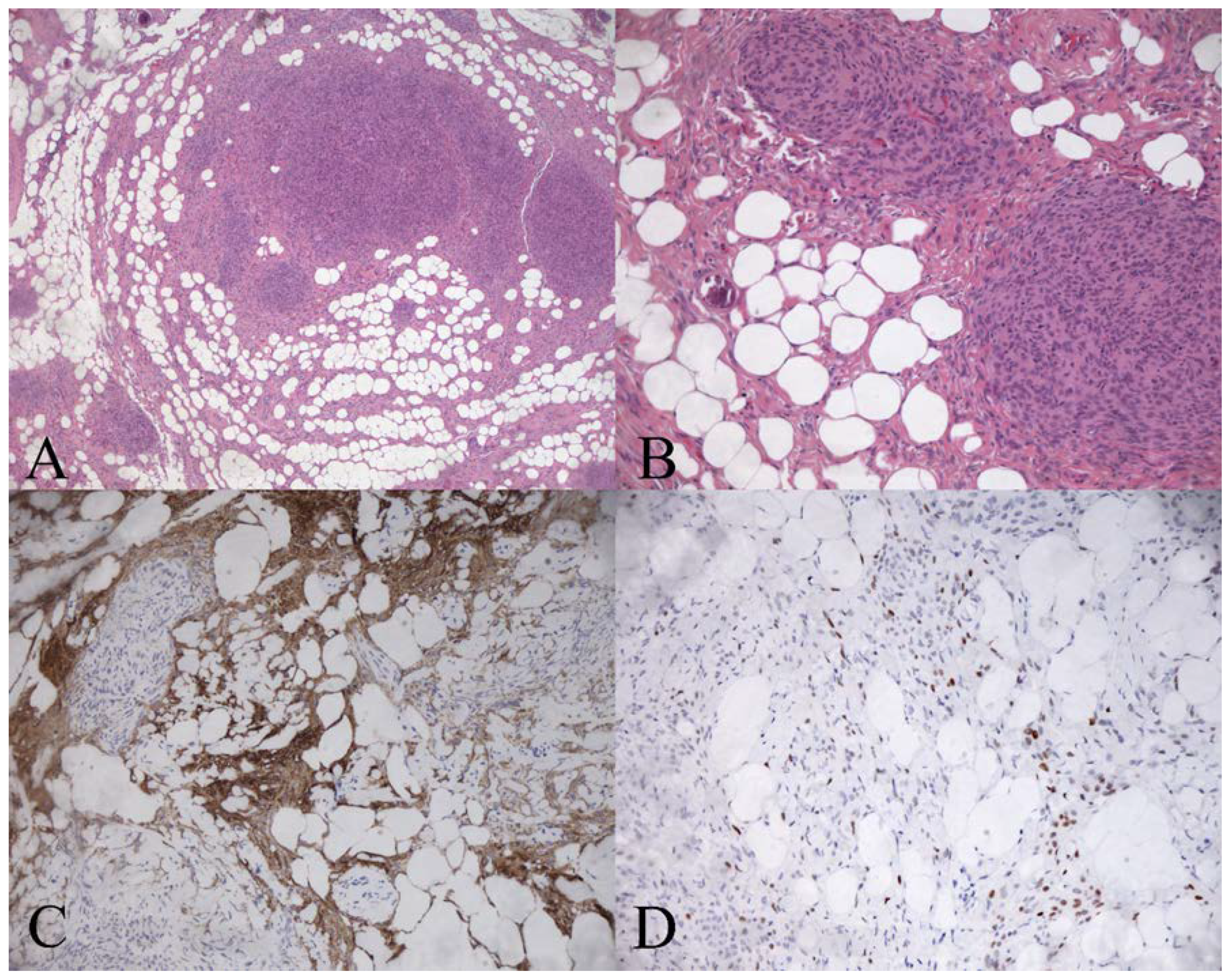 Diagnostics 12 00365 g003