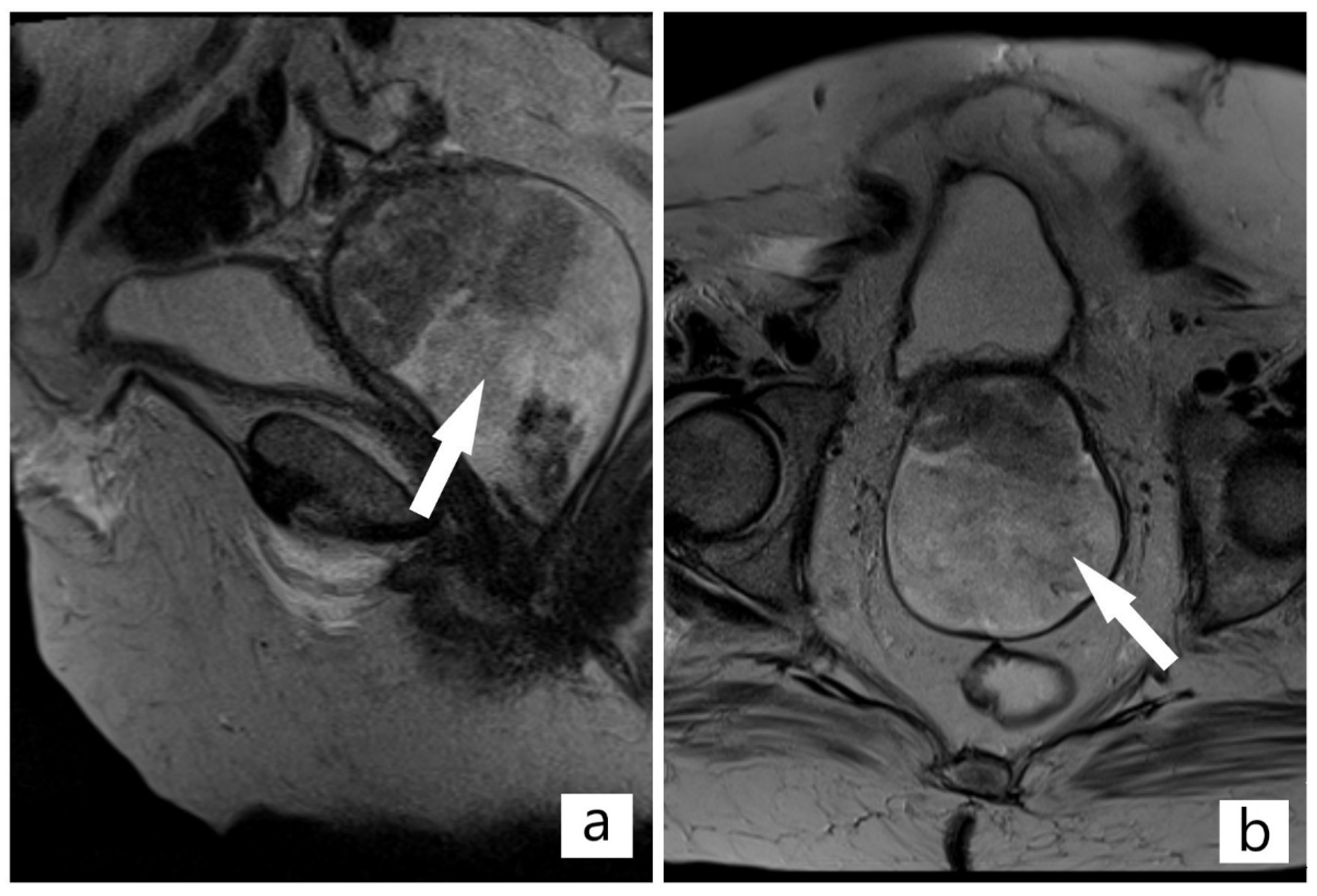 Diagnostics 12 00368 g002