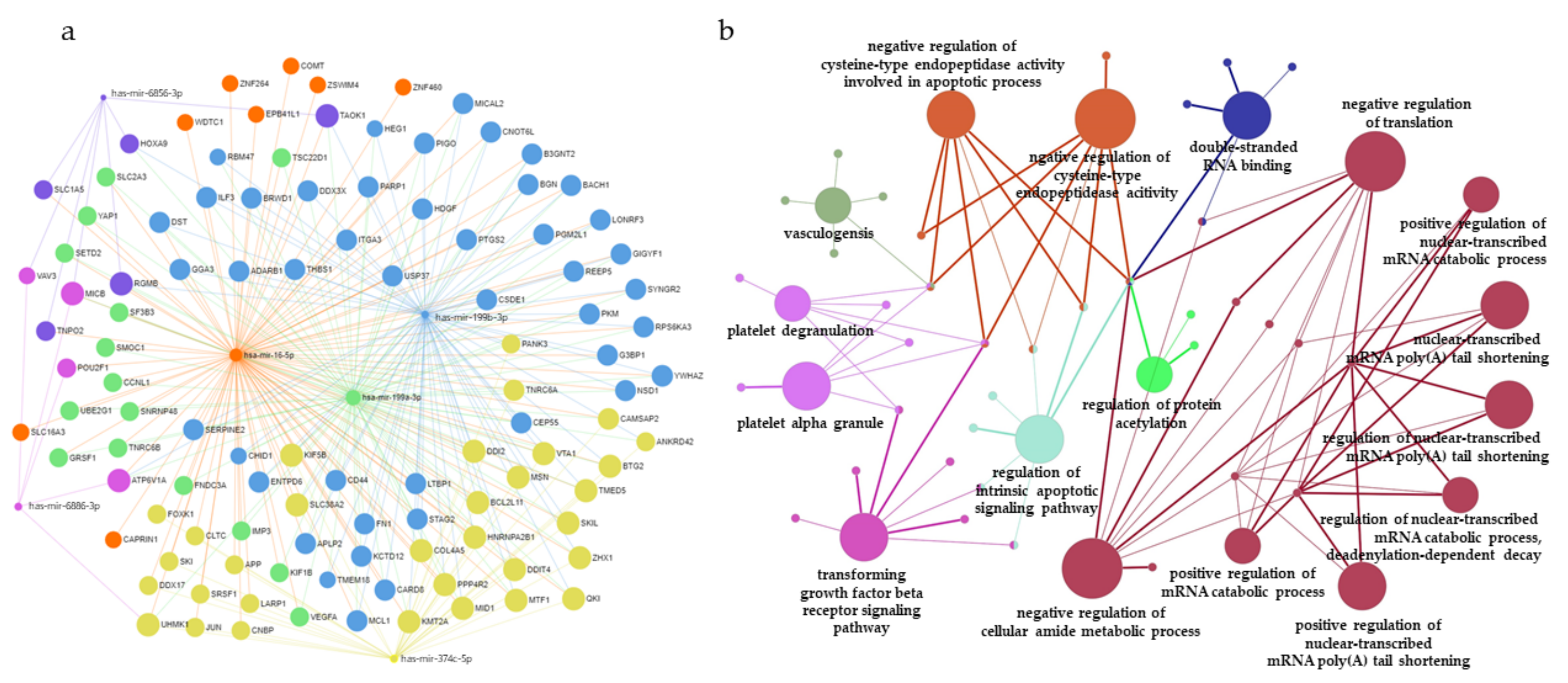 Diagnostics 12 00369 g004