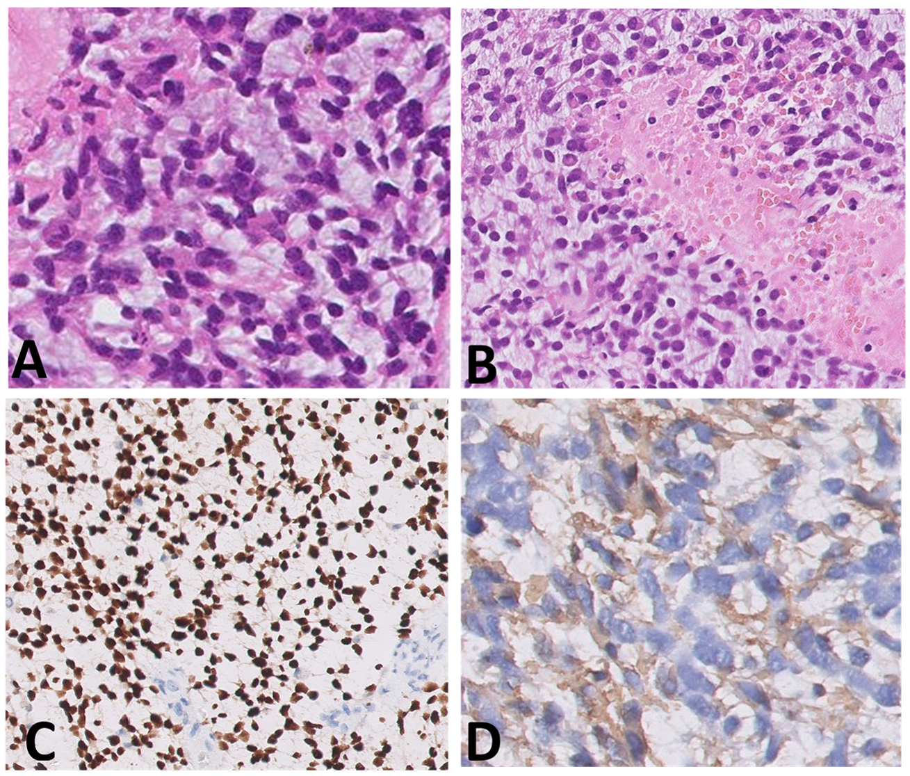 Diagnostics 12 00372 g001a