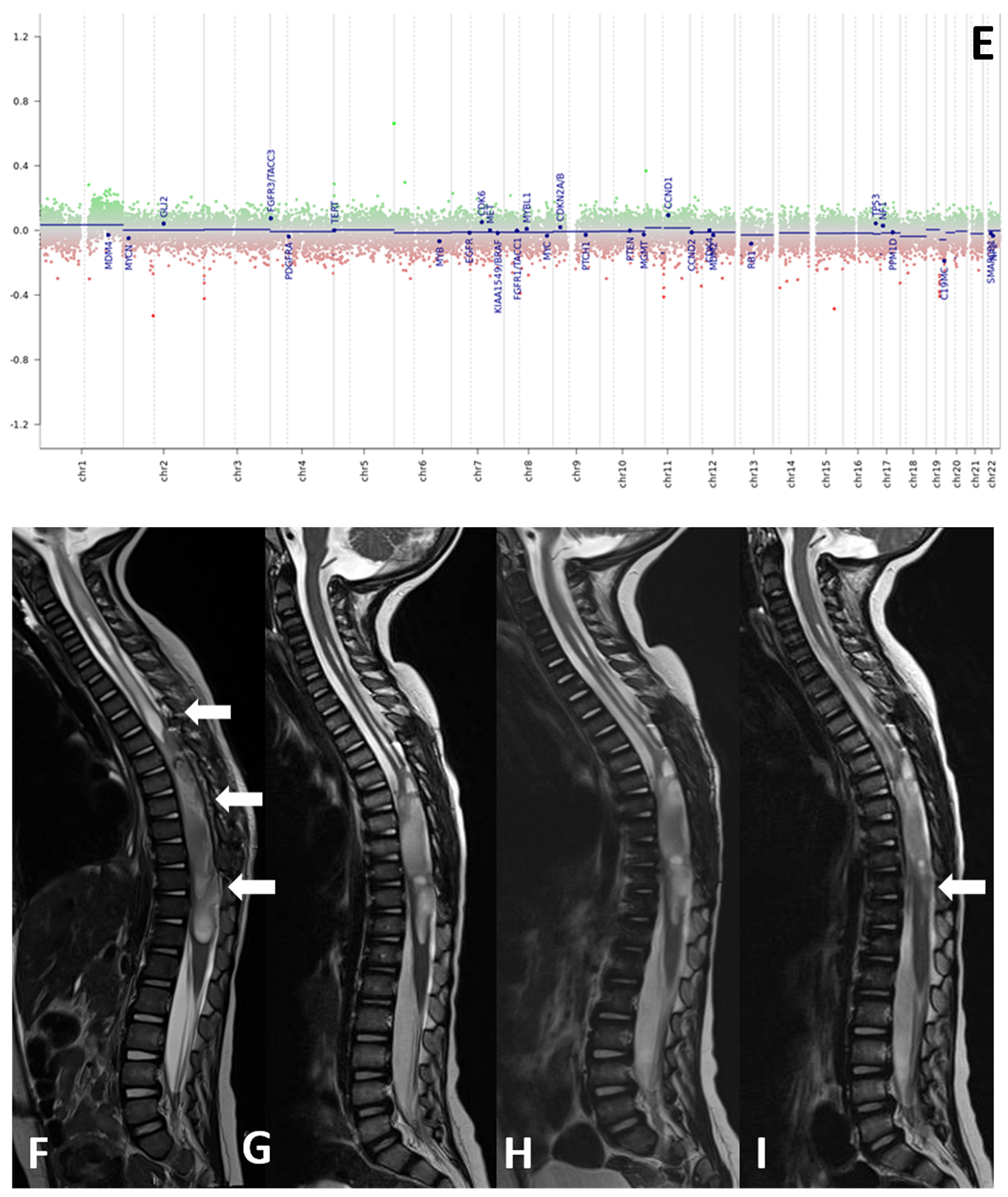 Diagnostics 12 00372 g001b