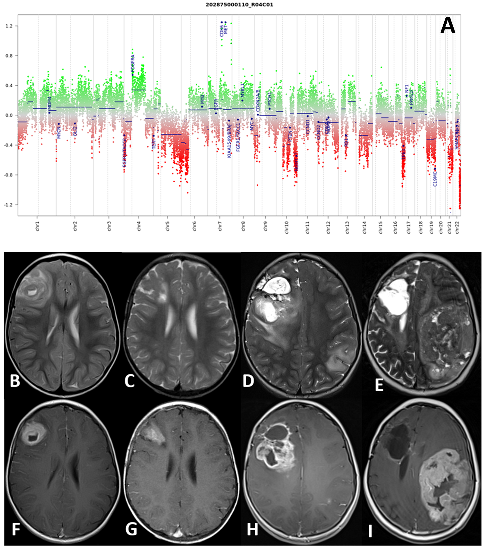 Diagnostics 12 00372 g002