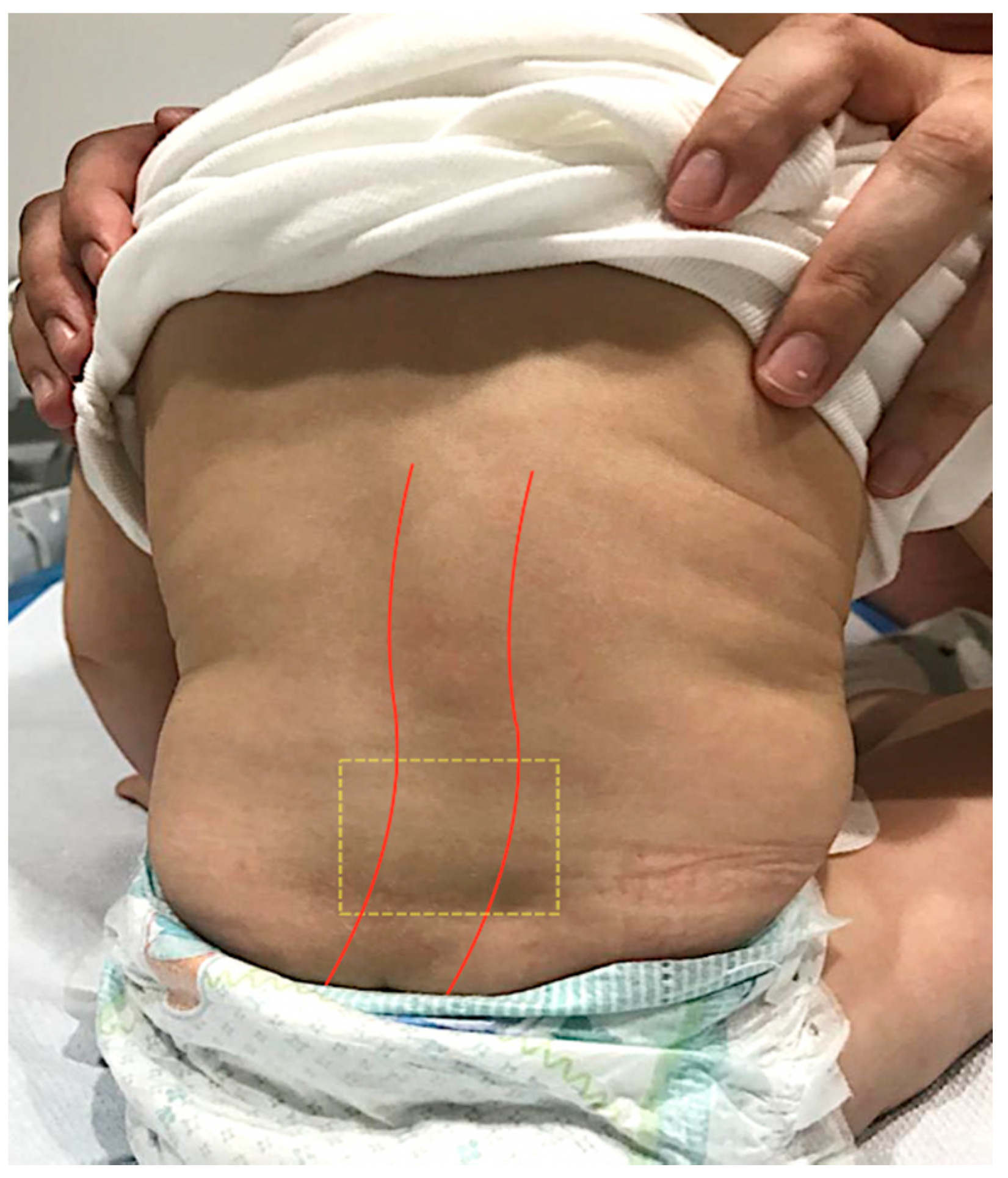 Diagnostics 12 00373 g002