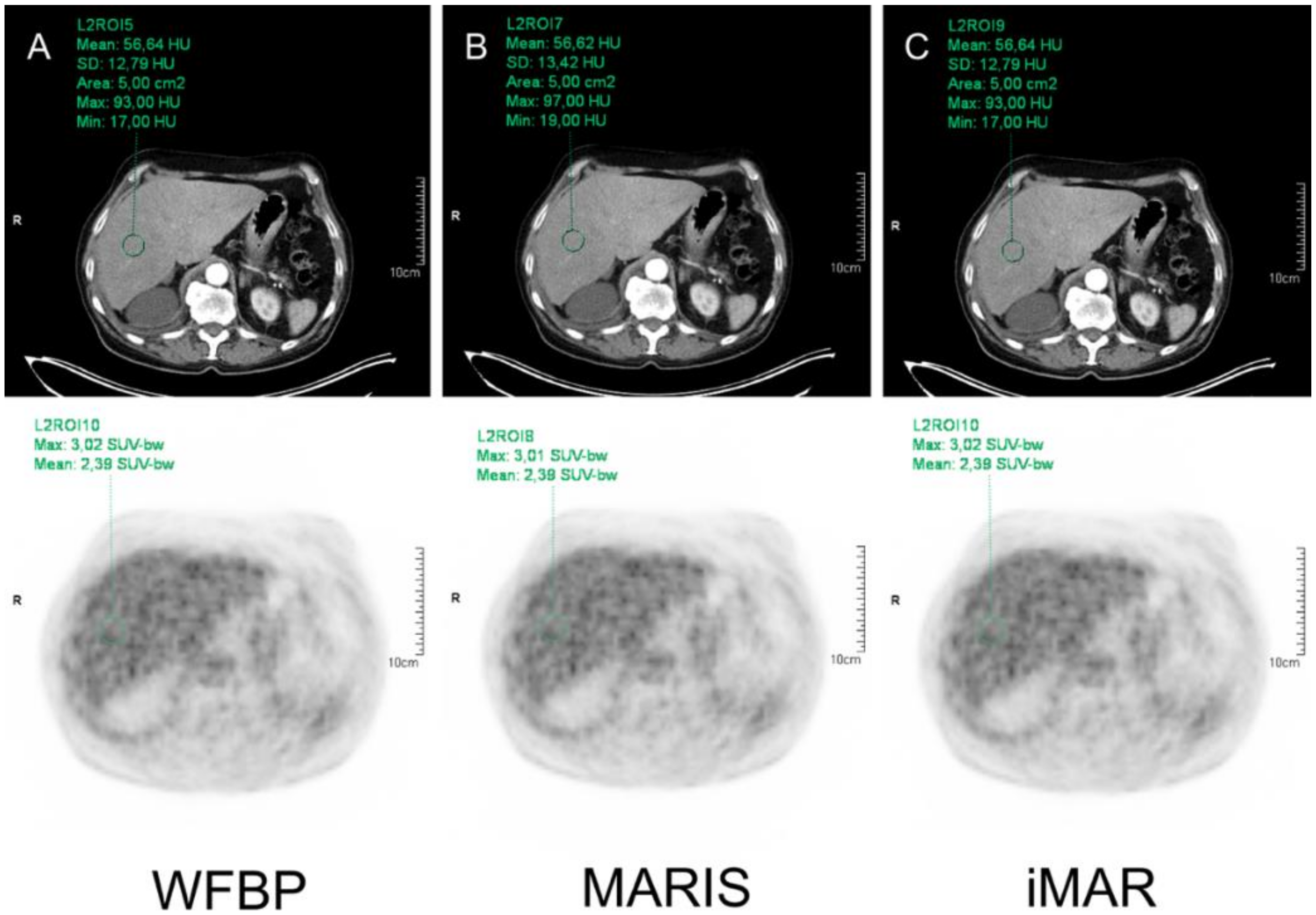 Diagnostics 12 00375 g001