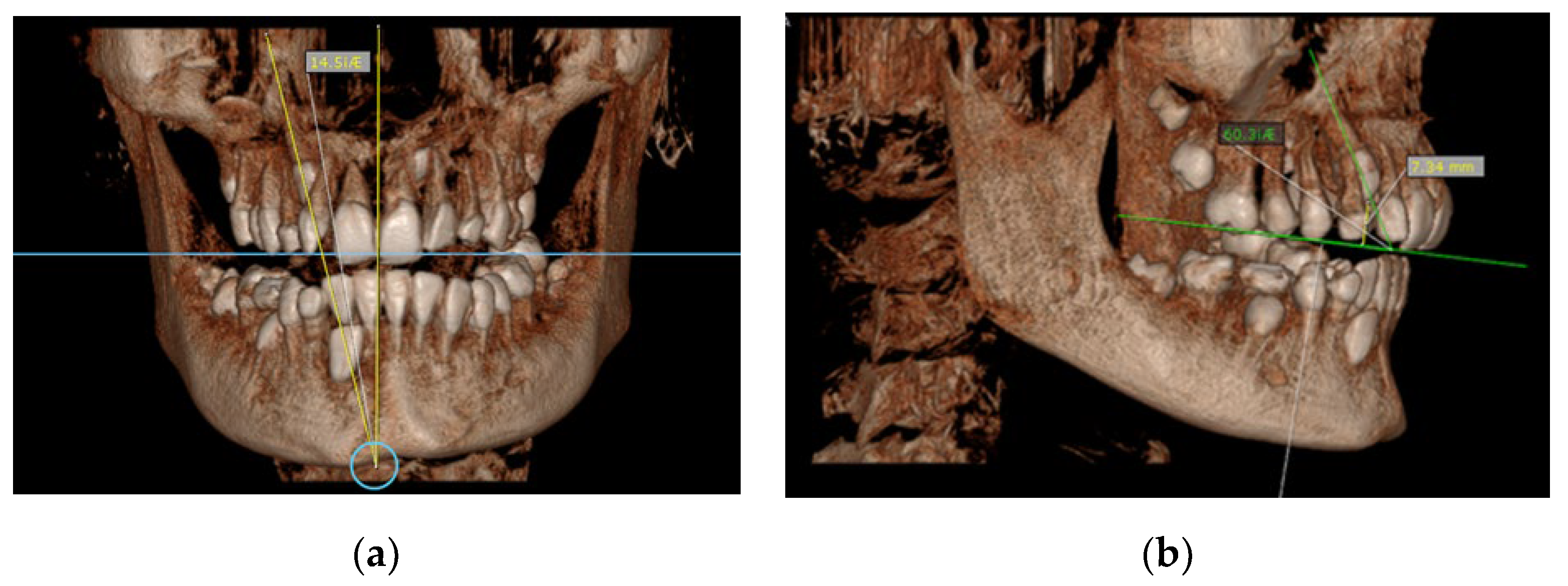 Diagnostics 12 00380 g003