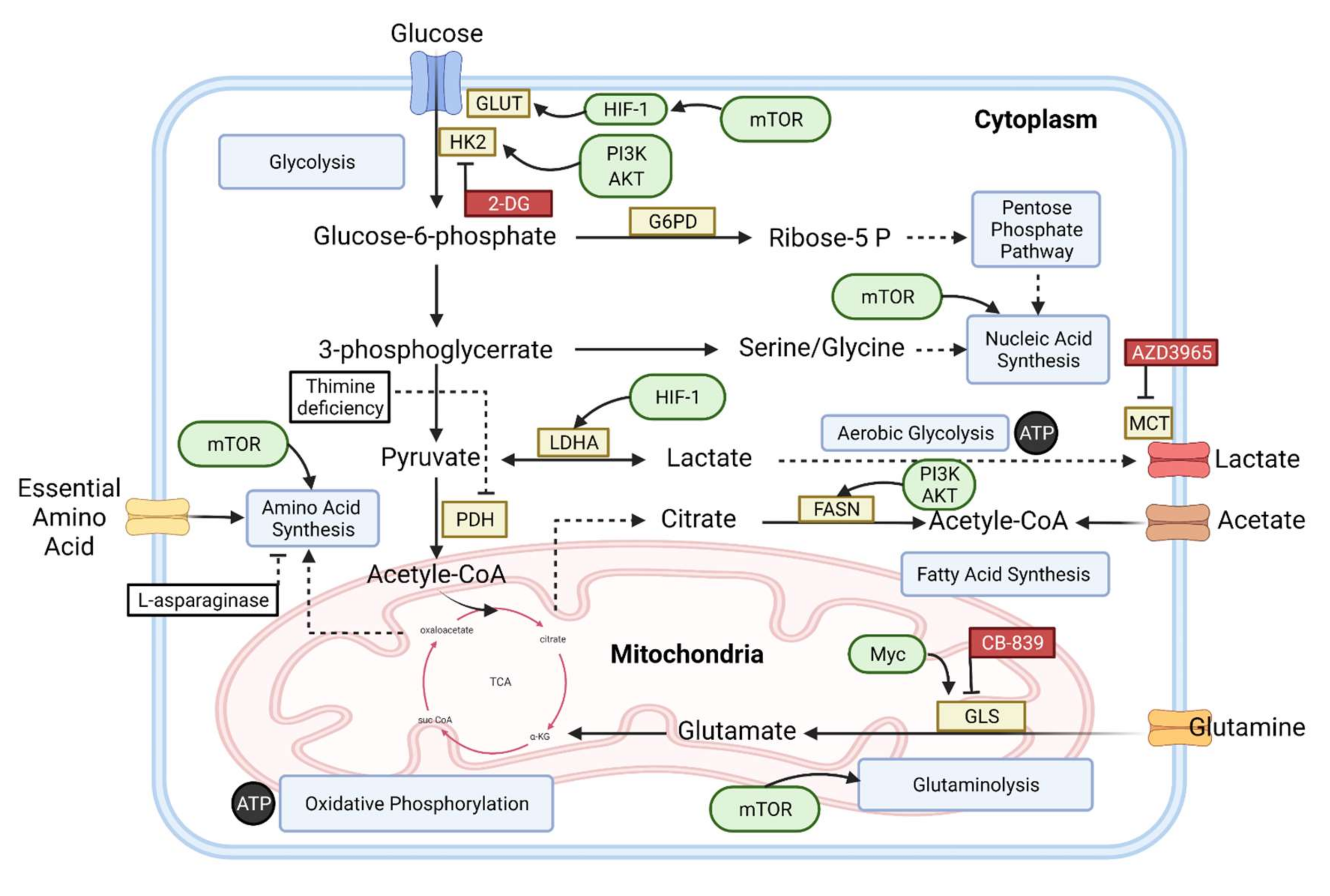 Diagnostics 12 00394 g001