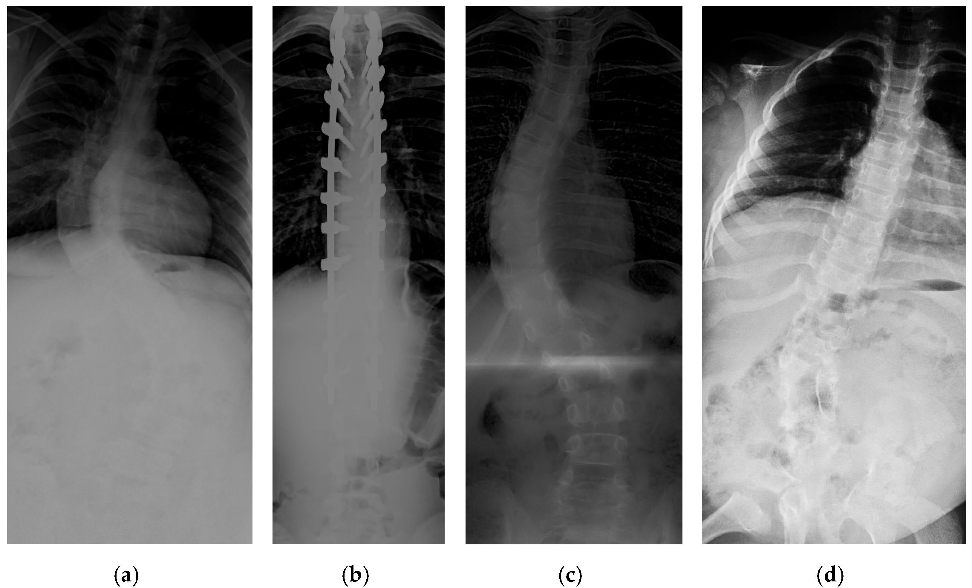 Diagnostics 12 00396 g001