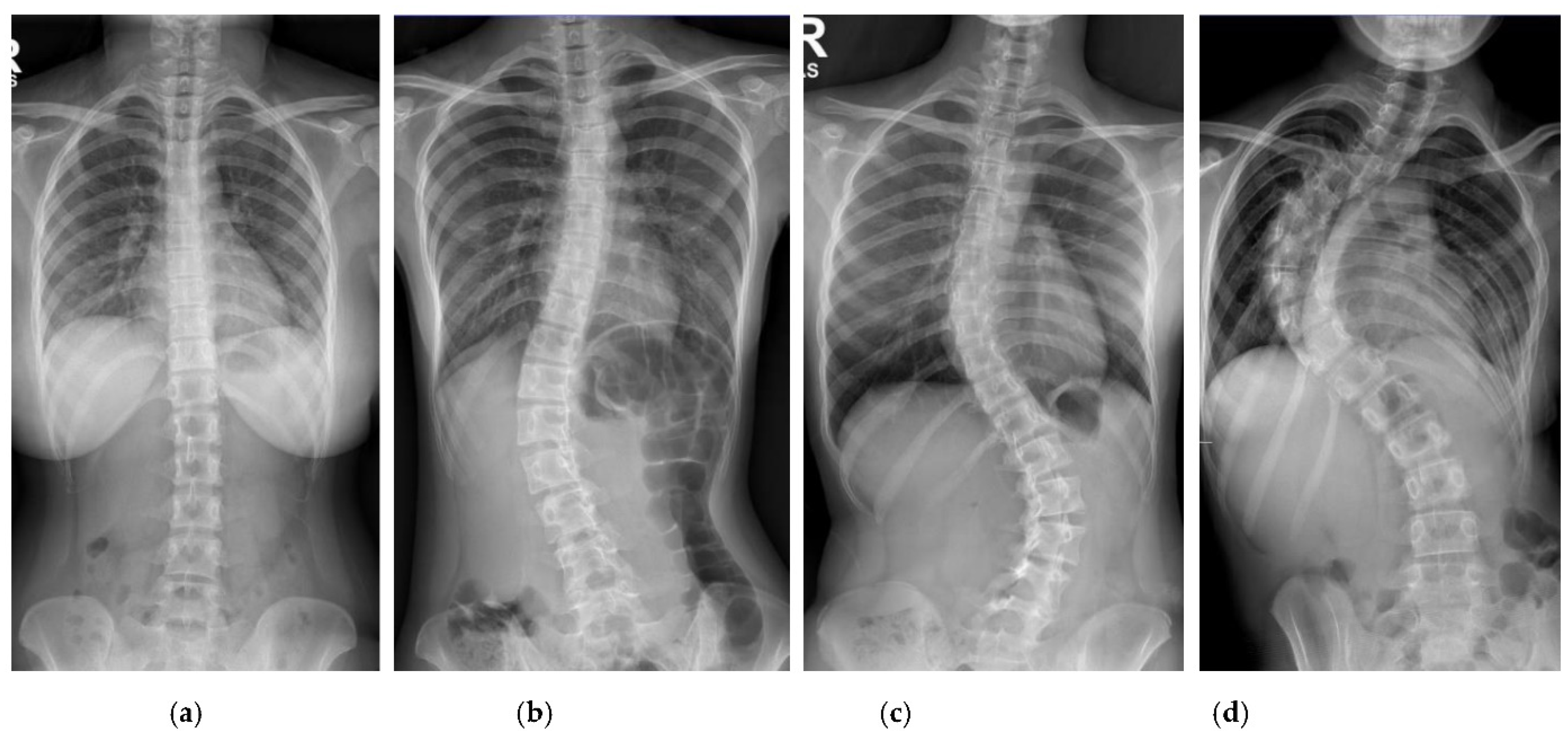 Diagnostics 12 00396 g002