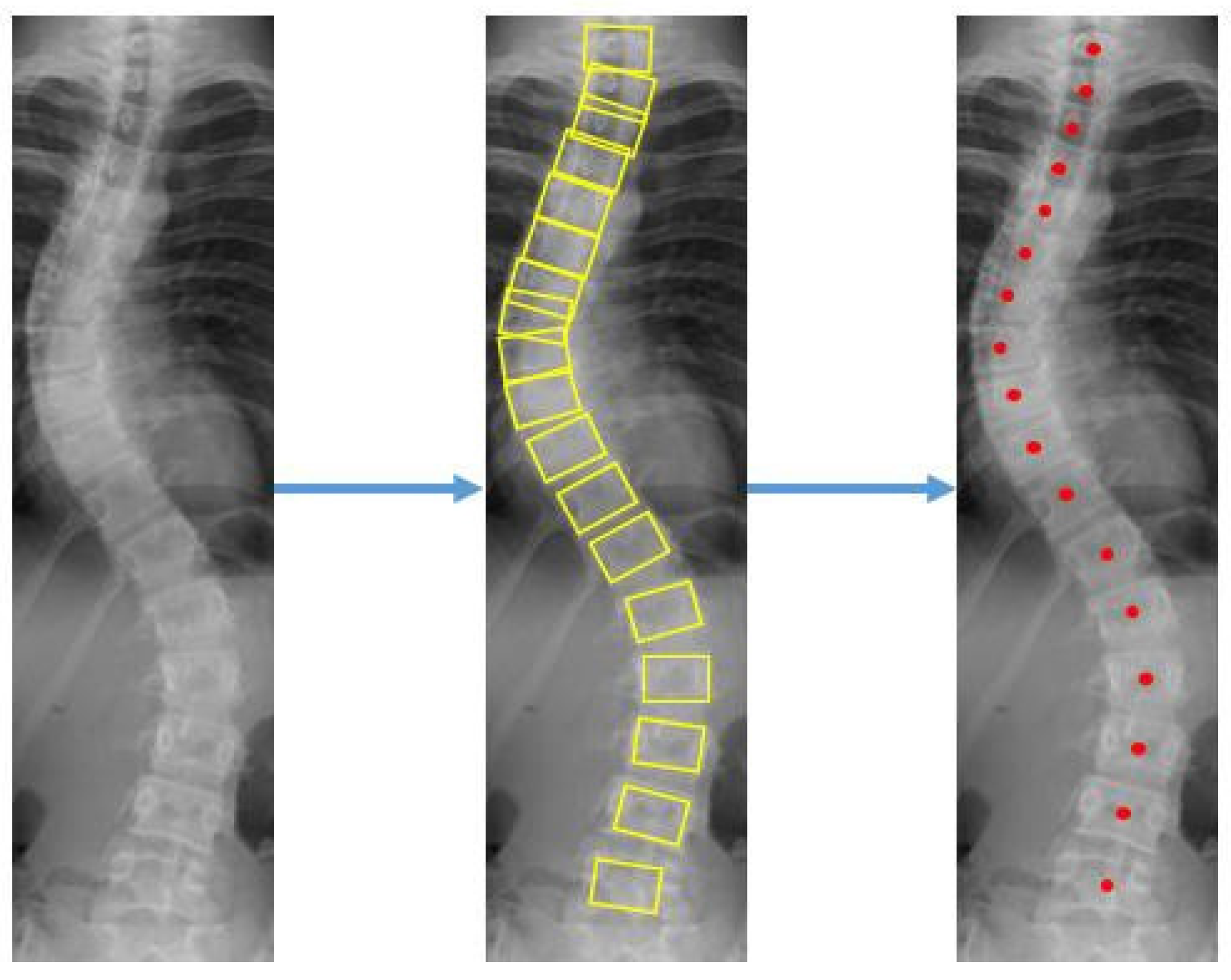 Diagnostics 12 00396 g006