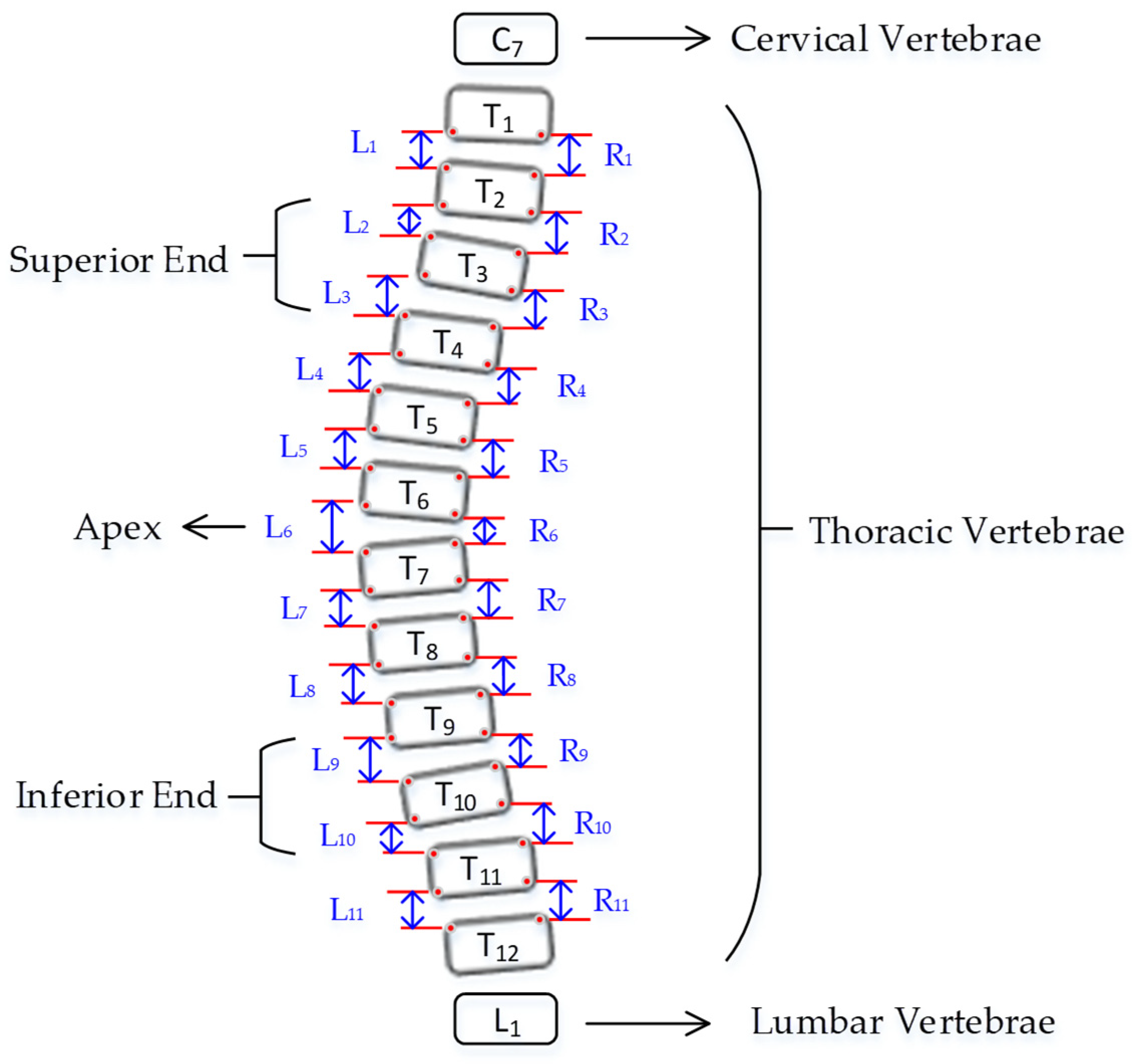 Diagnostics 12 00396 g008
