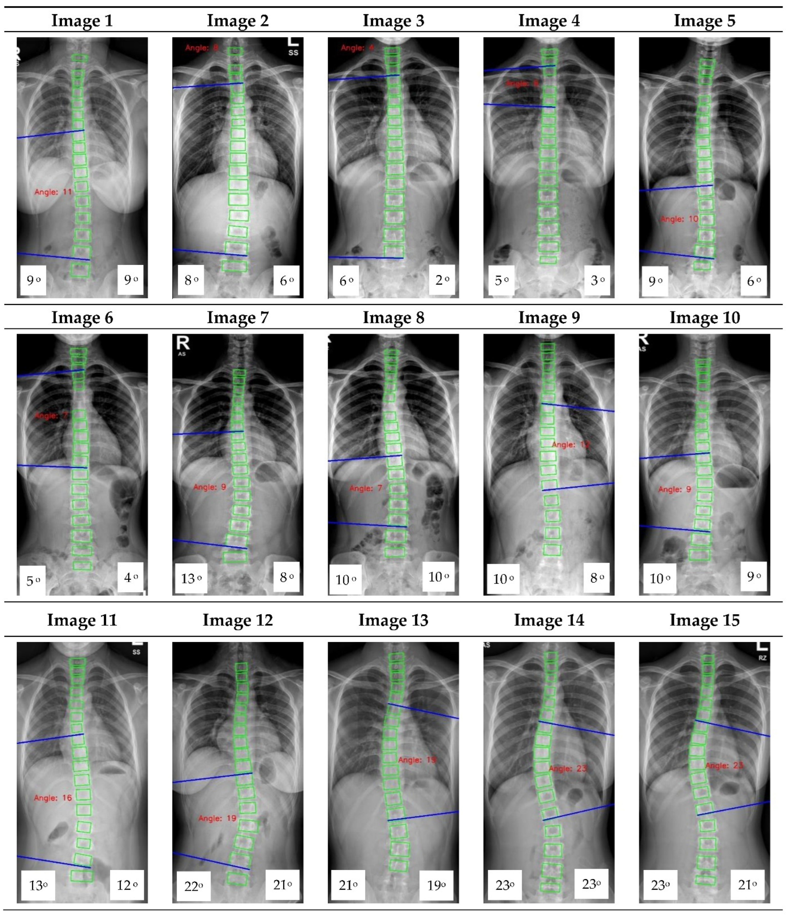 Diagnostics 12 00396 g0a1a