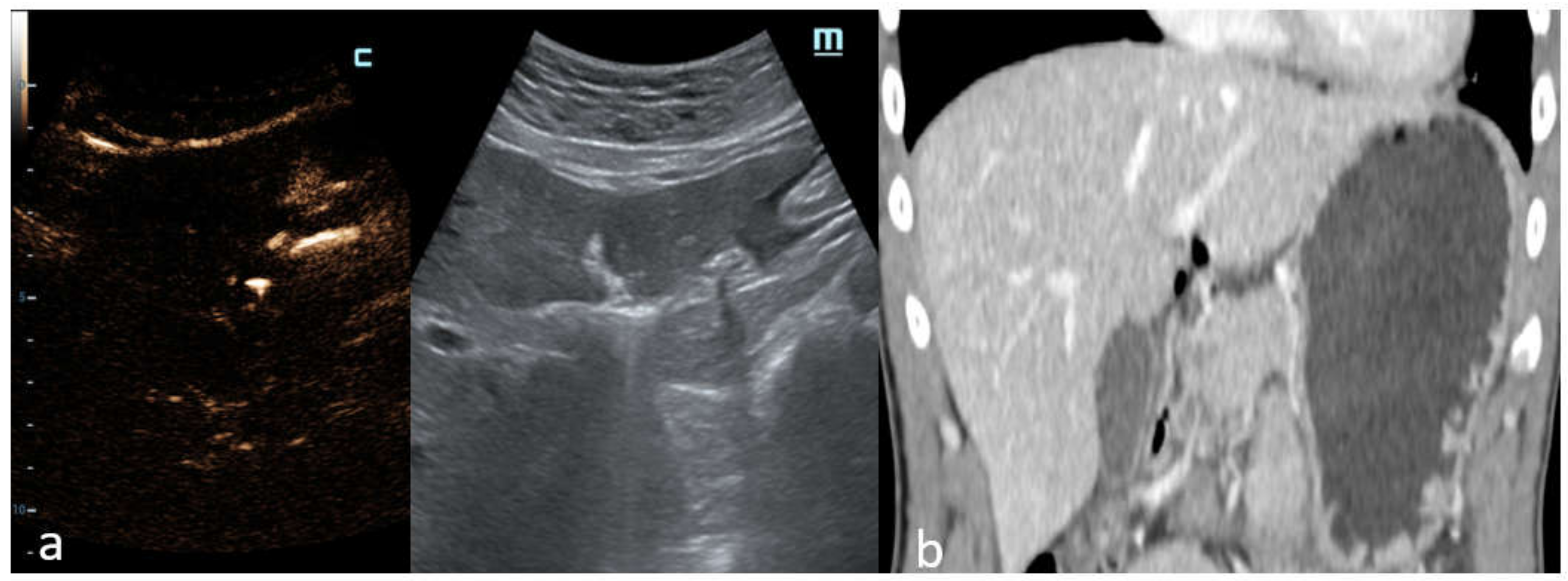 Diagnostics 12 00401 g006