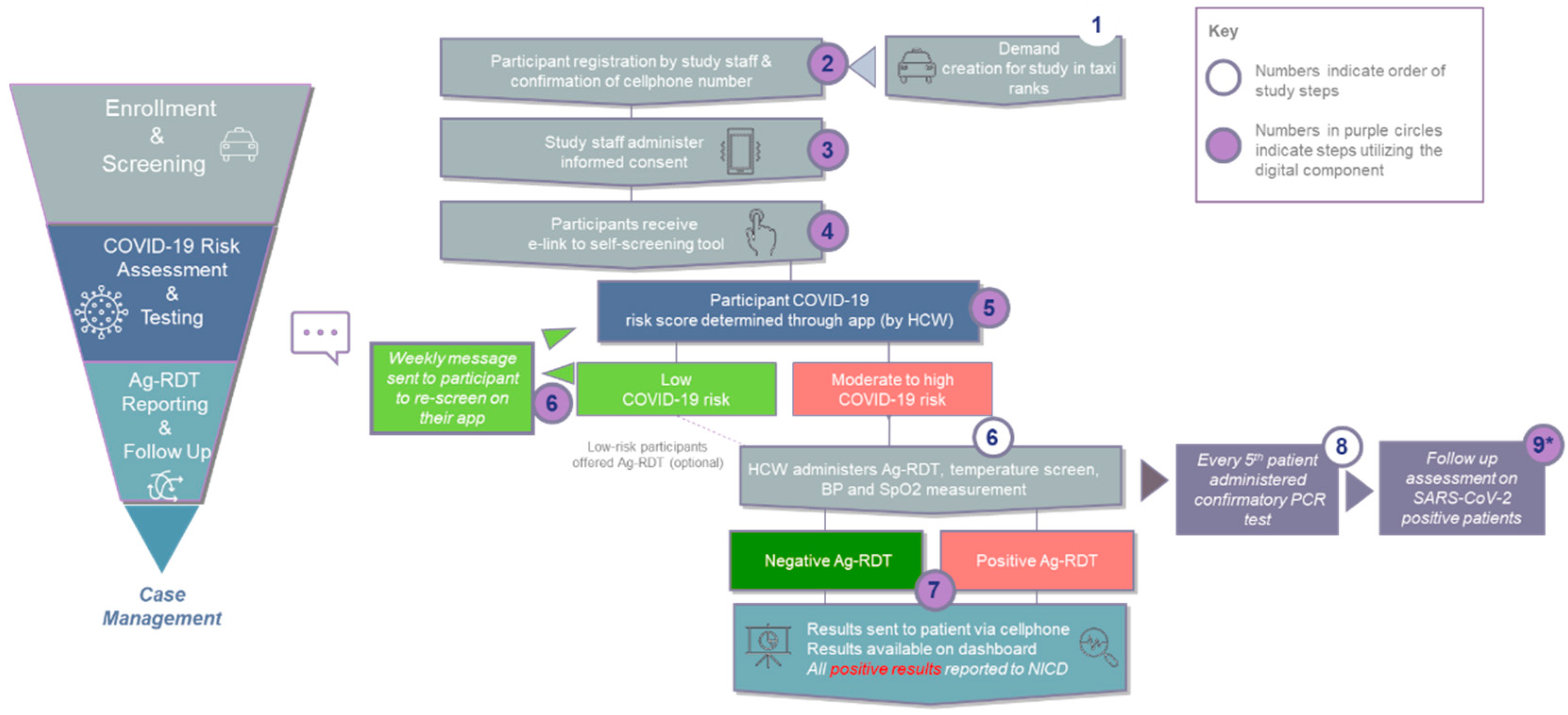 Diagnostics 12 00402 g001