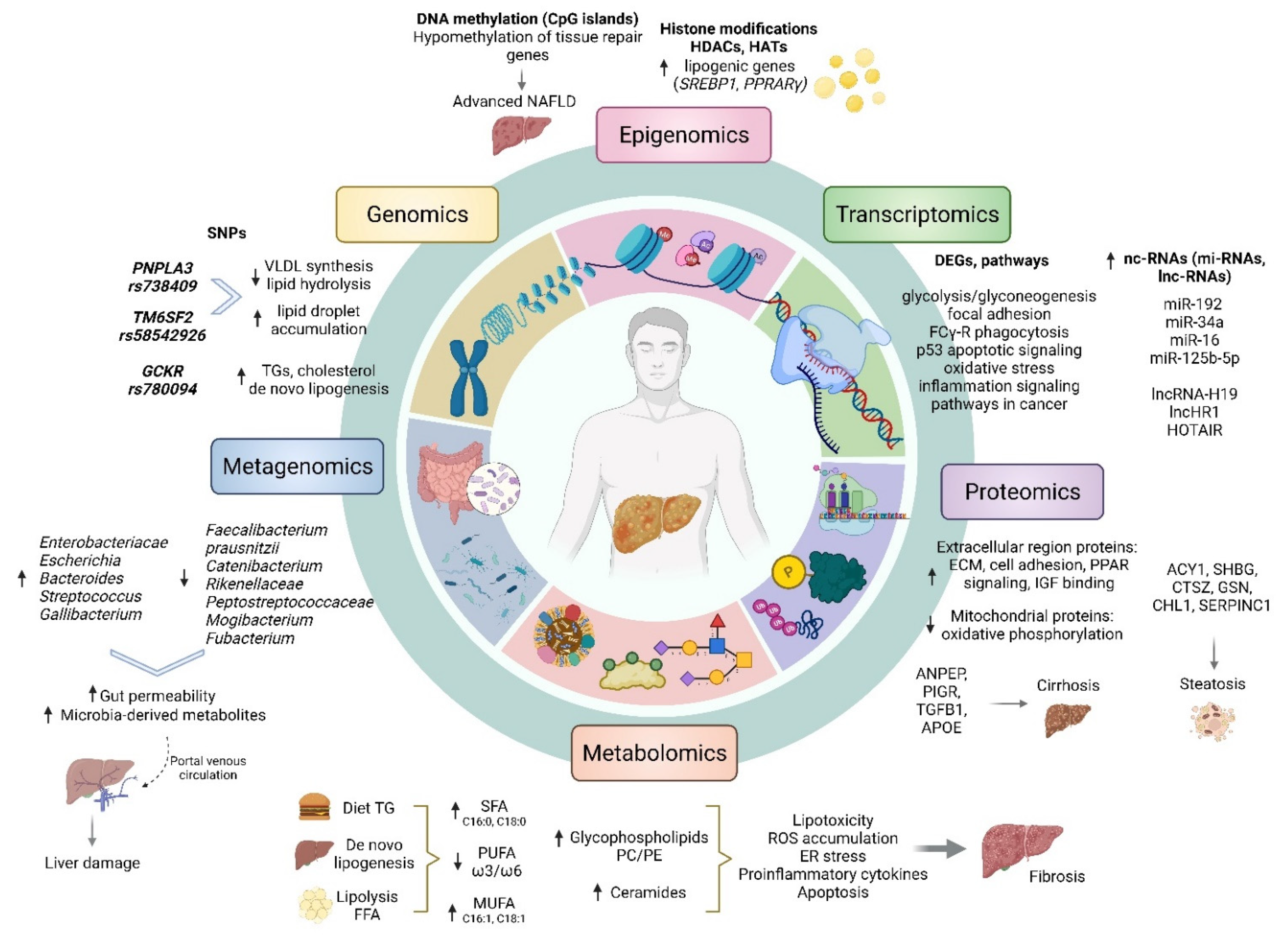 Diagnostics 12 00407 g002