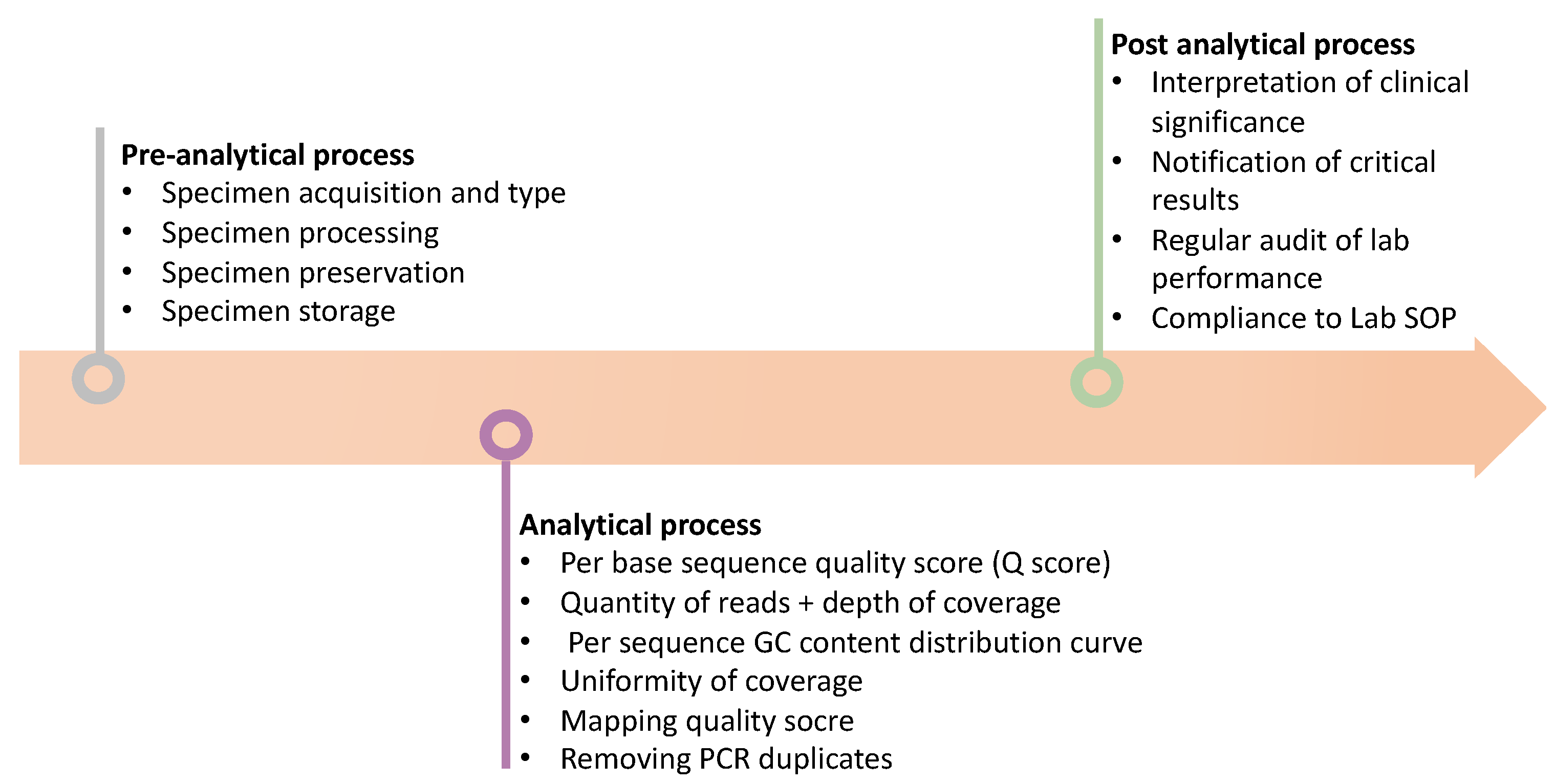 Diagnostics 12 00409 g002