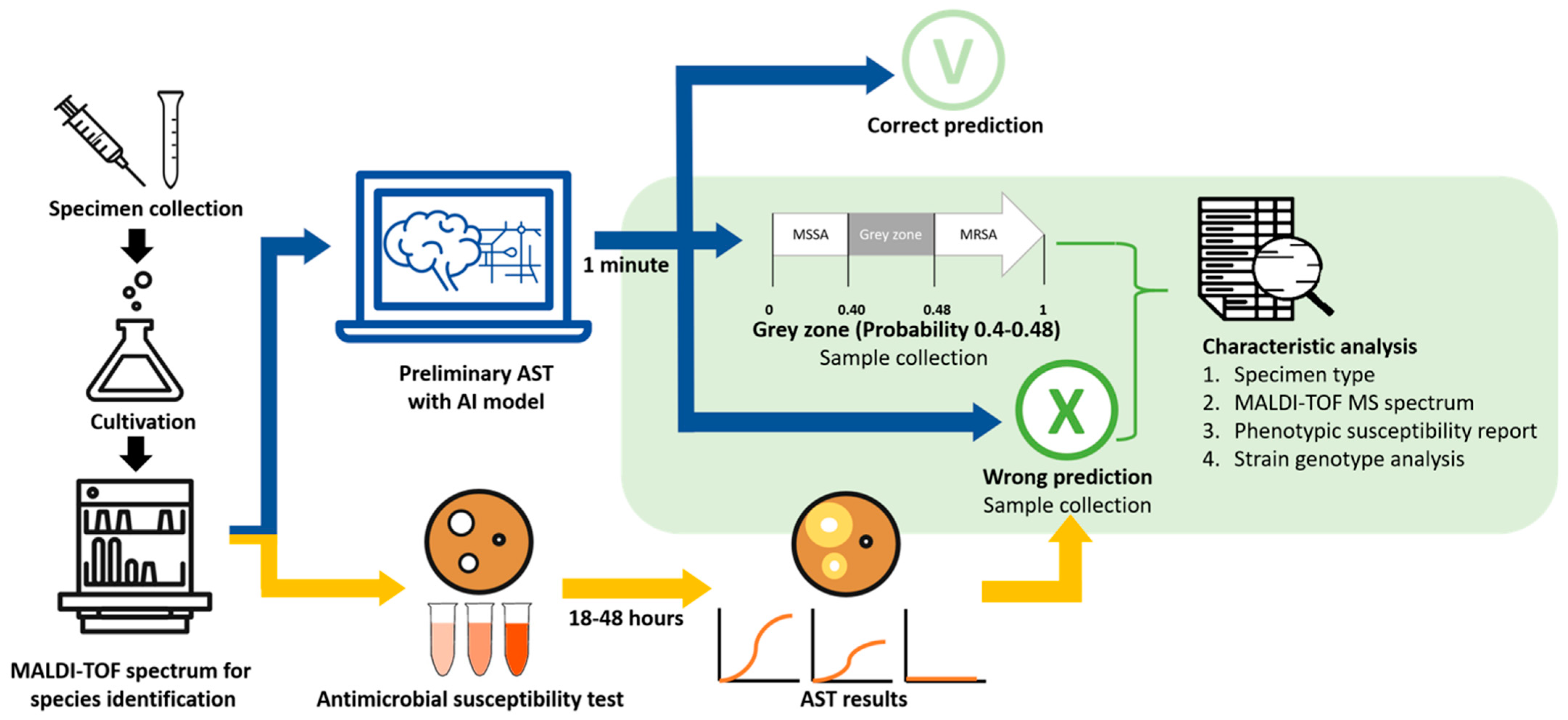 Diagnostics 12 00413 g001 Diagnostics 12 00413 g001