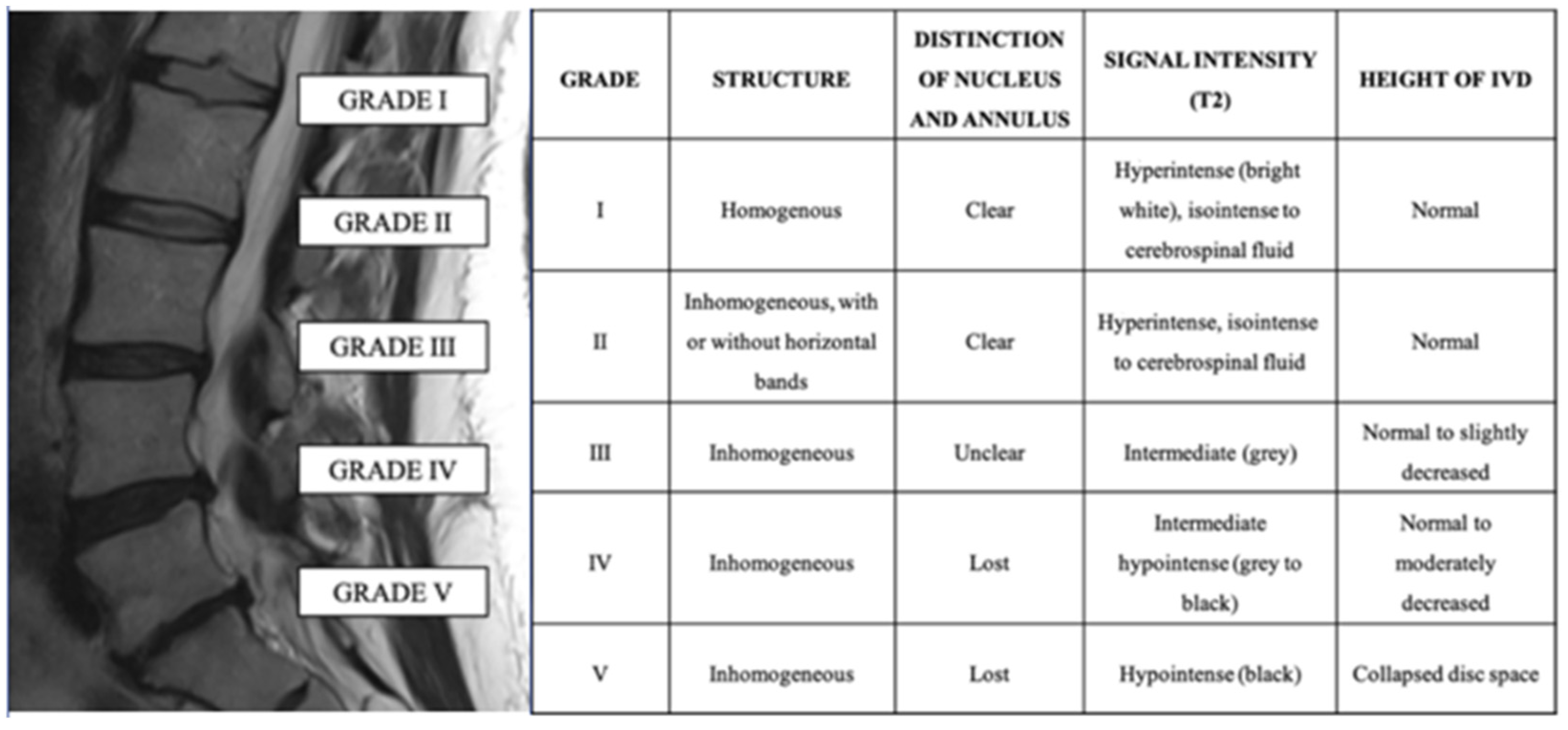 Diagnostics 12 00420 g001 Diagnostics 12 00420 g001