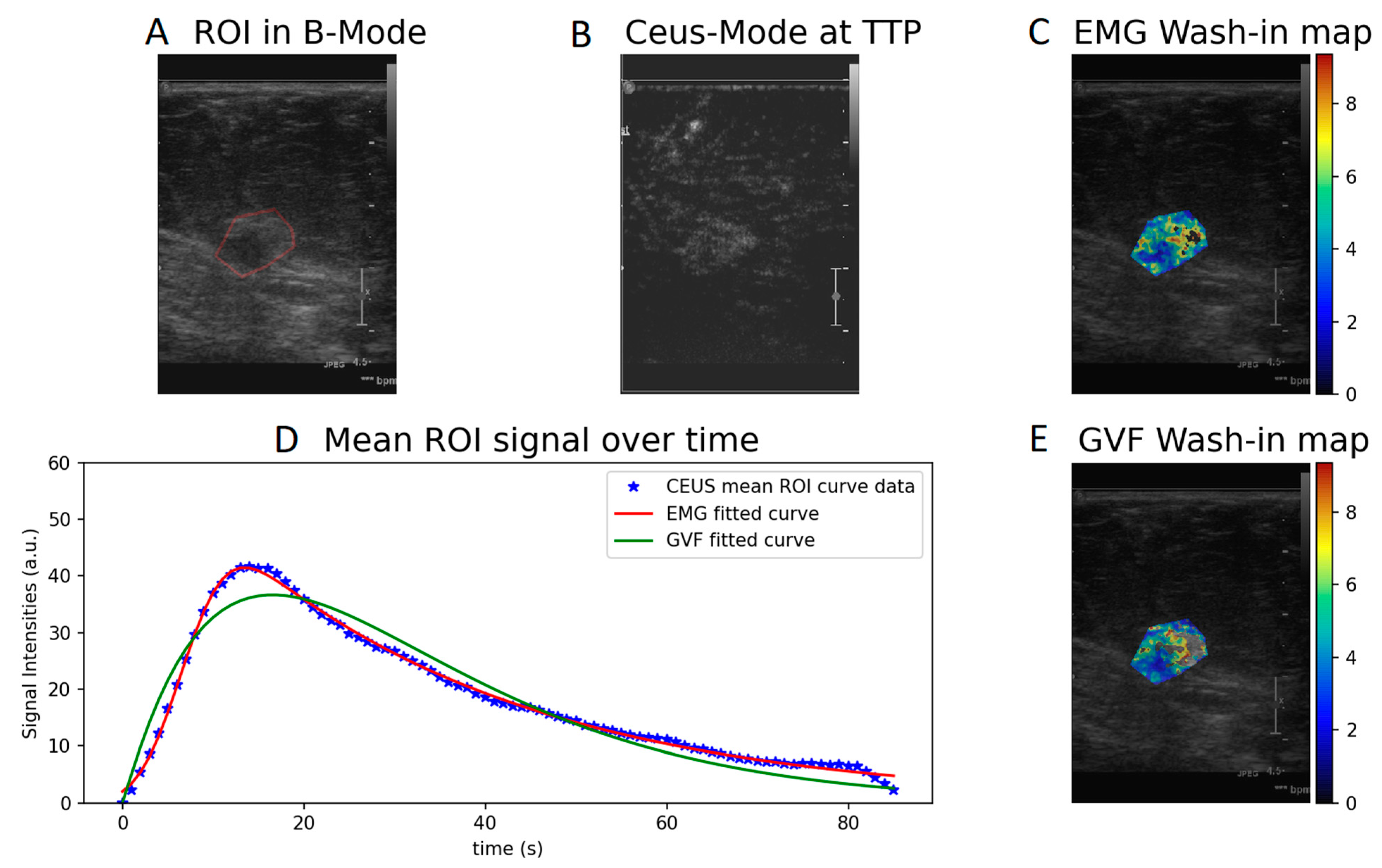 Diagnostics 12 00425 g002