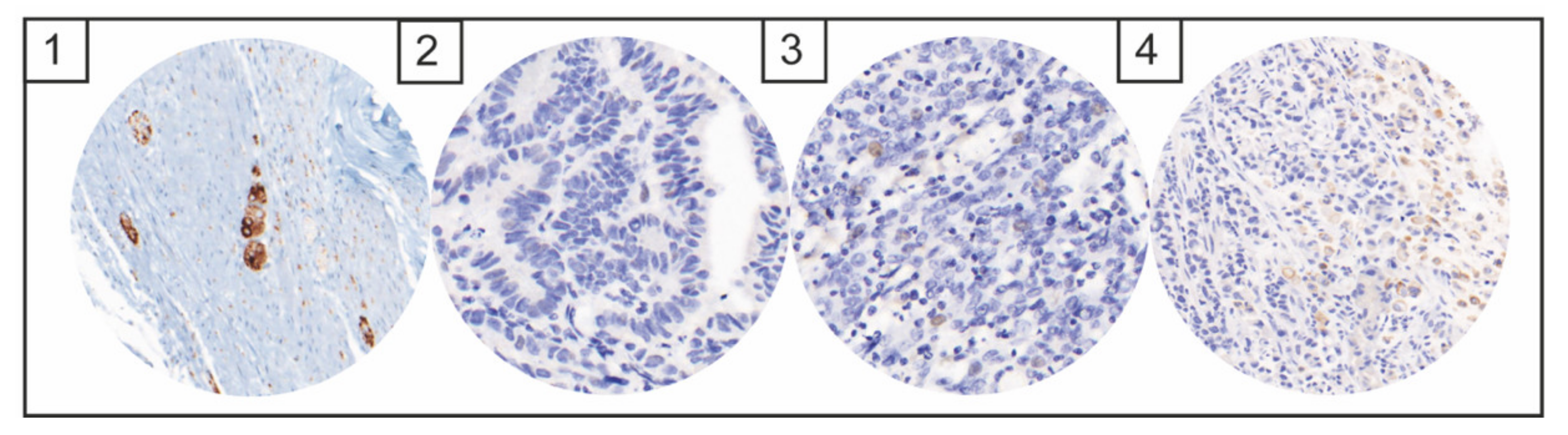 Diagnostics 12 00429 g003