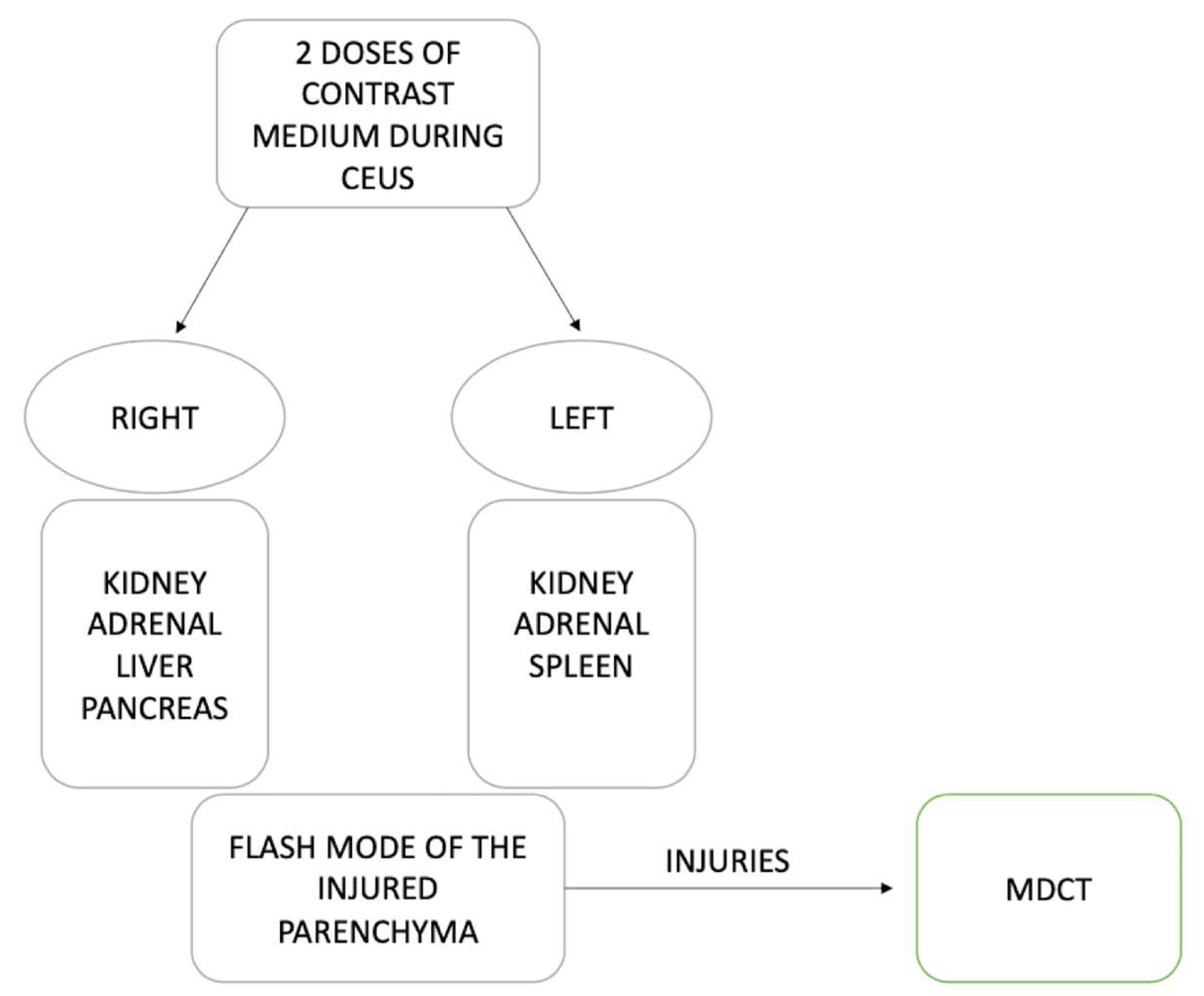 Diagnostics 12 00435 g008