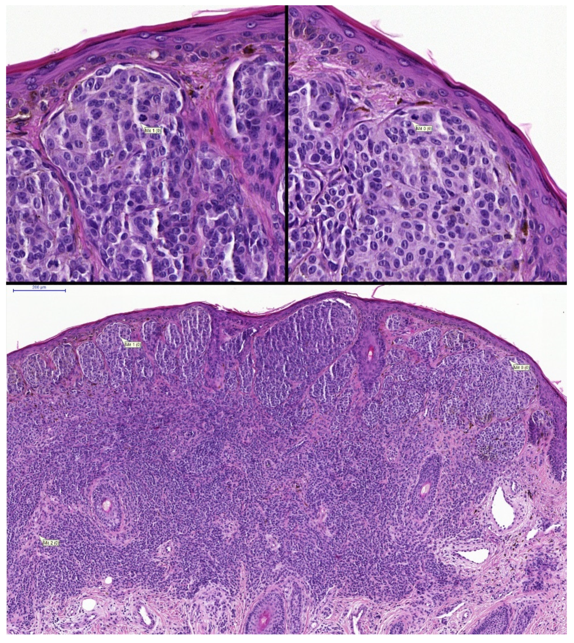 Diagnostics 12 00436 g005