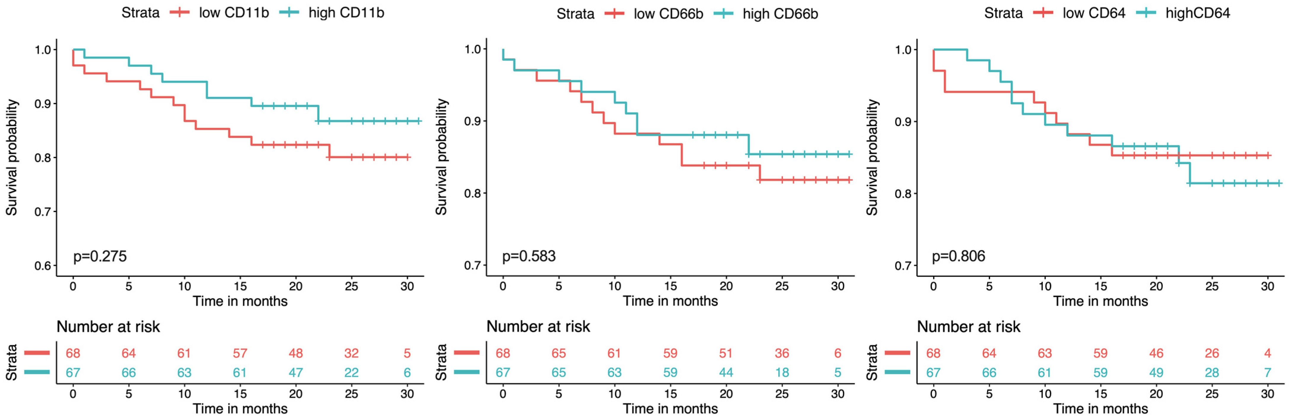 Diagnostics 12 00444 g003